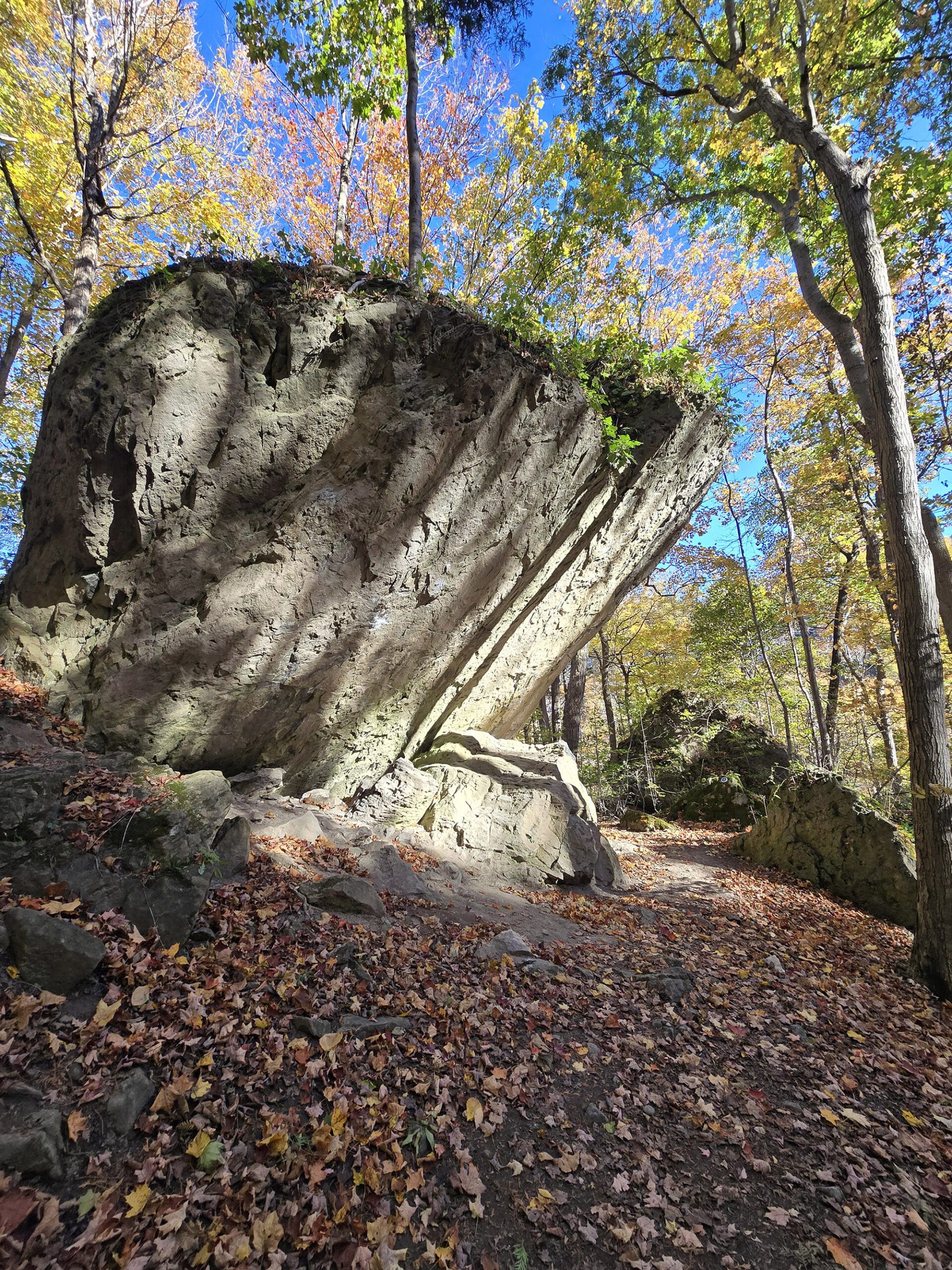 A large boulder next to a niagara glen hiking trail.