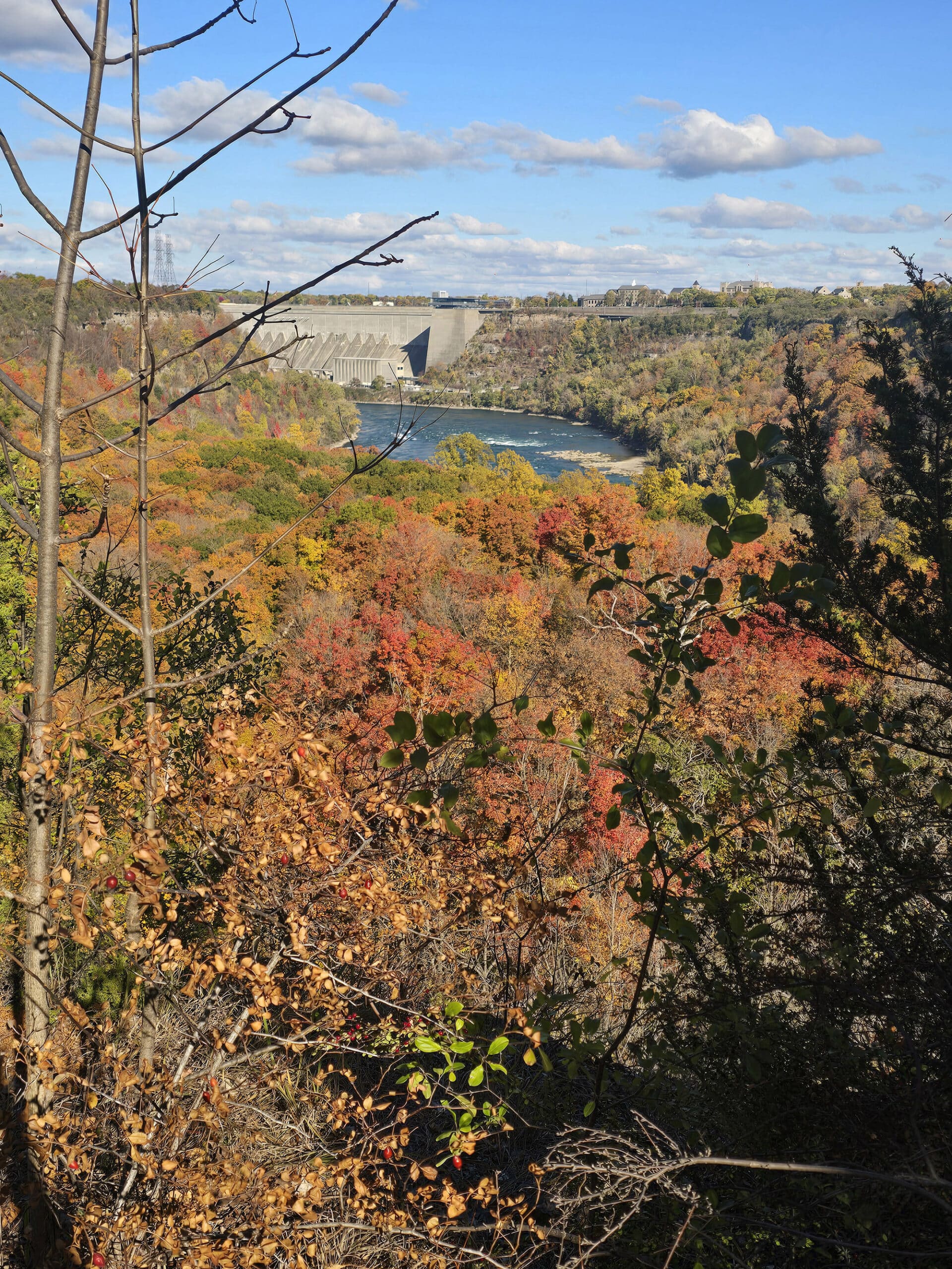 A view overlooking the niagara gorge in the fall.