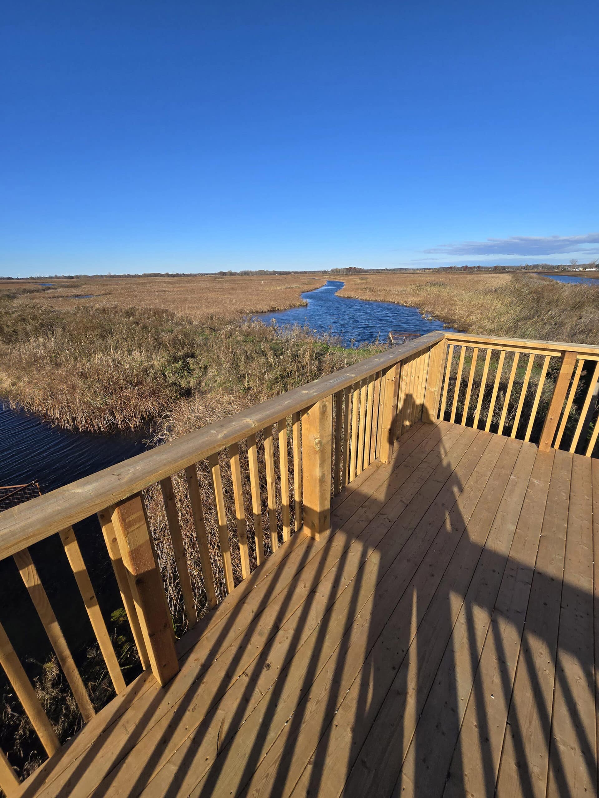A view over a wetland area at Big Creek National Wildlife Area.