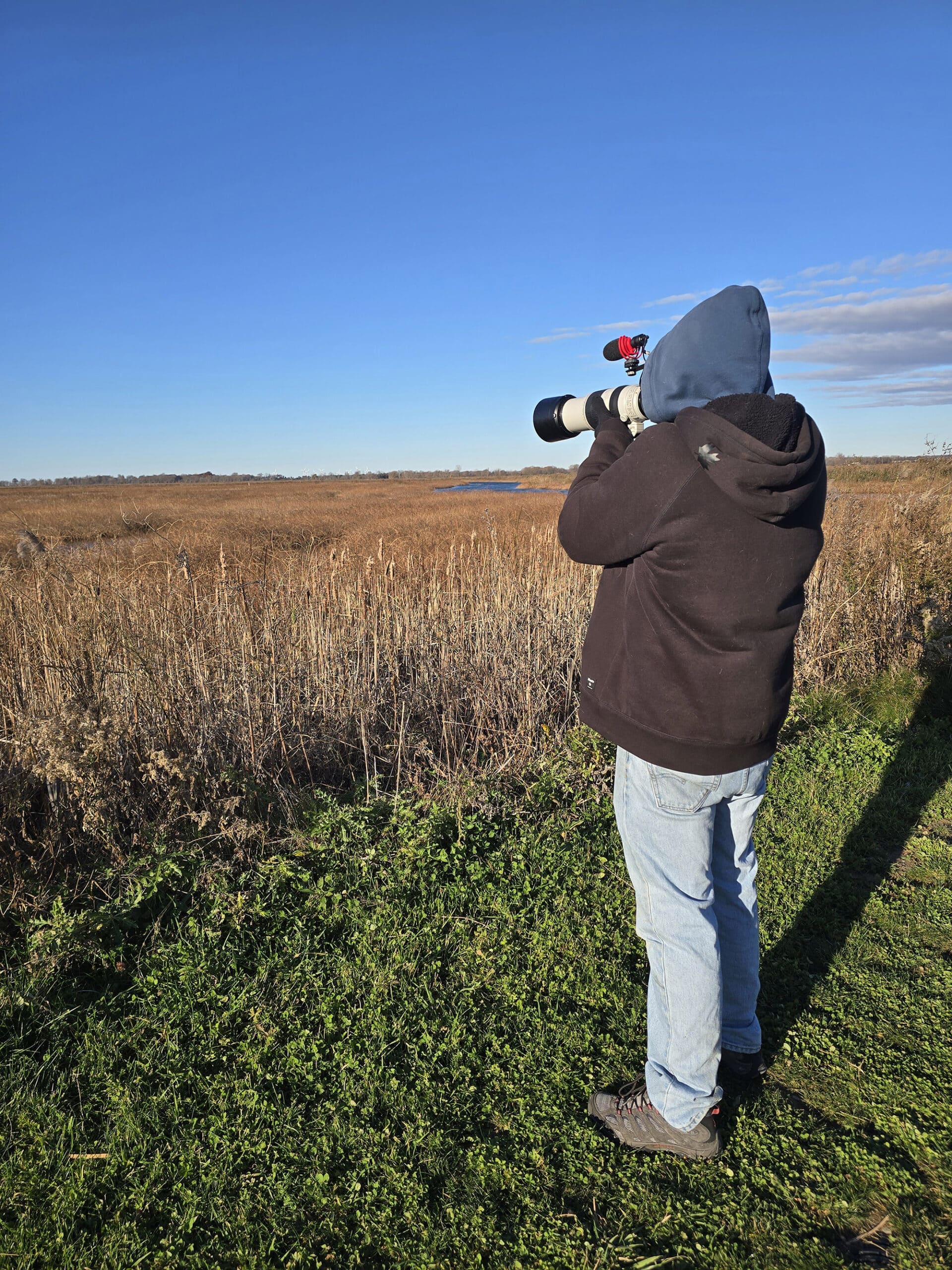 A view over a wetland area at Big Creek National Wildlife Area.