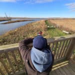 A man photographing tundra swans from a tower at Big Creek National Wildlife Area.