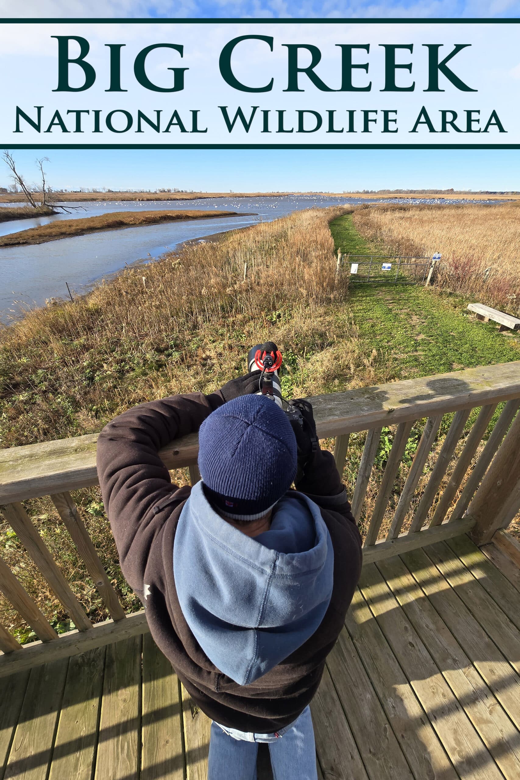 A man photographing tundra swans from a tower at. Overlaid text says Big Creek National Wildlife Area.