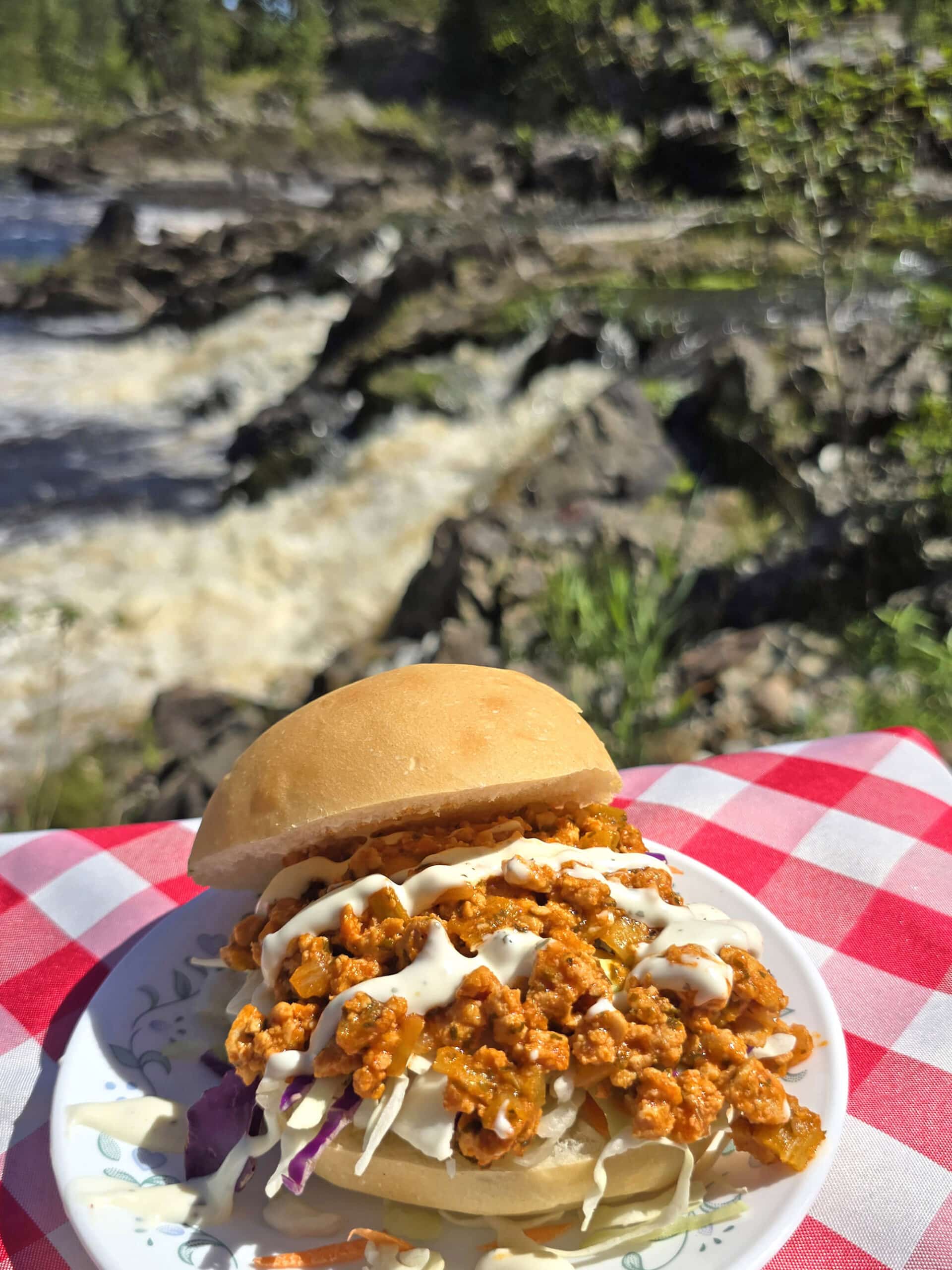 A buffalo chicken sloppy joes sandwich with cabbage and ranch dressing, in front of a waterfall.