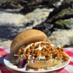 A buffalo chicken sloppy joes sandwich with cabbage and ranch dressing, in front of a waterfall.