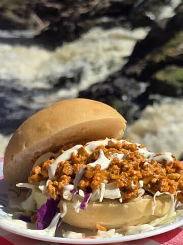 A buffalo chicken sloppy joes sandwich with cabbage and ranch dressing, in front of a waterfall.