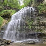 Tiffany Falls Waterfall in late spring.
