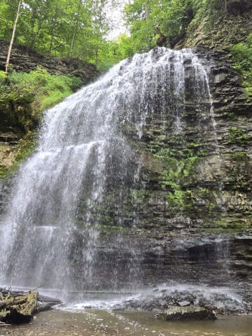 Tiffany Falls Waterfall in late spring.