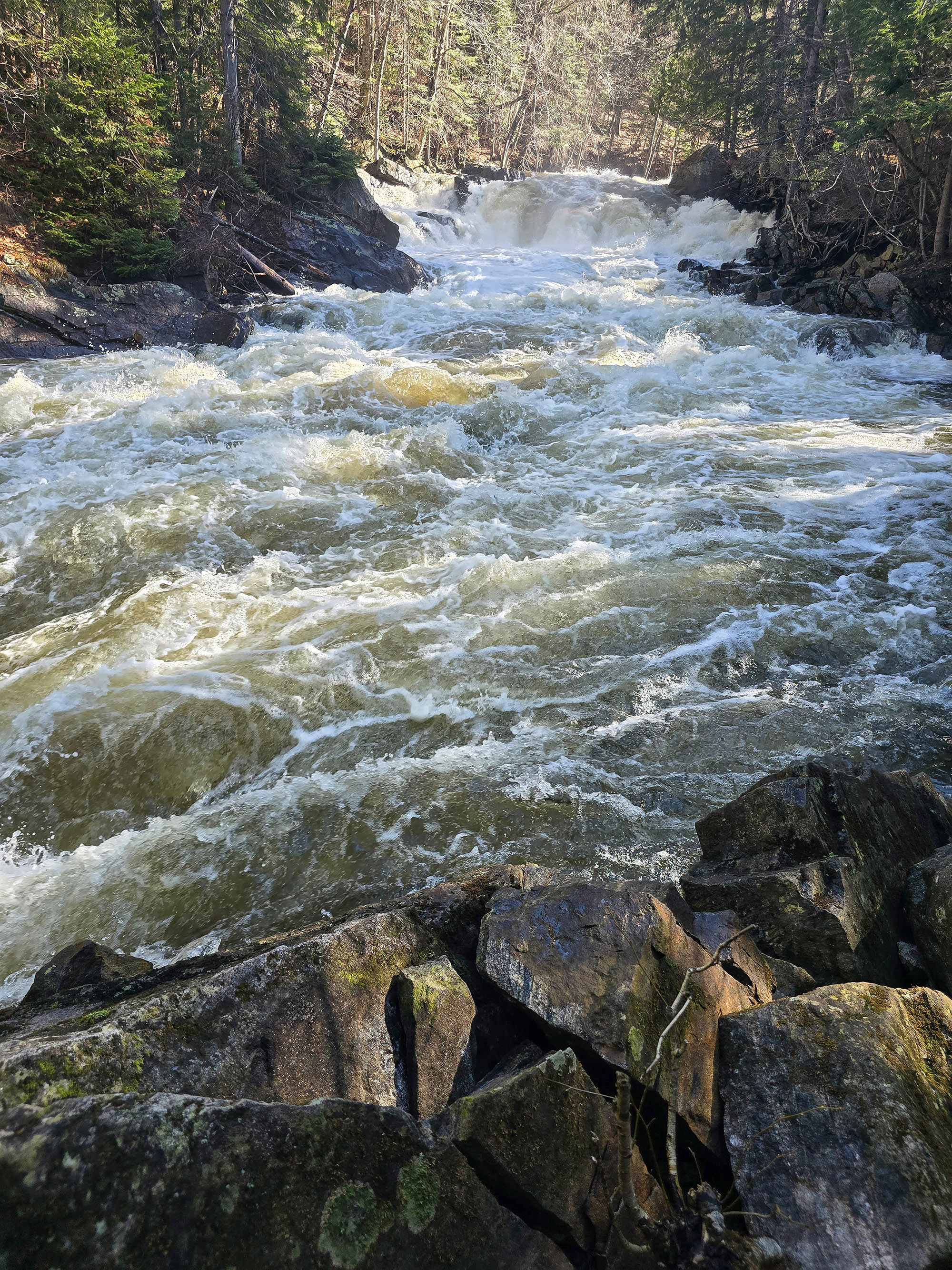 Brook’s Falls waterfall, a smallish rushing cascade waterfall in Muskoka.