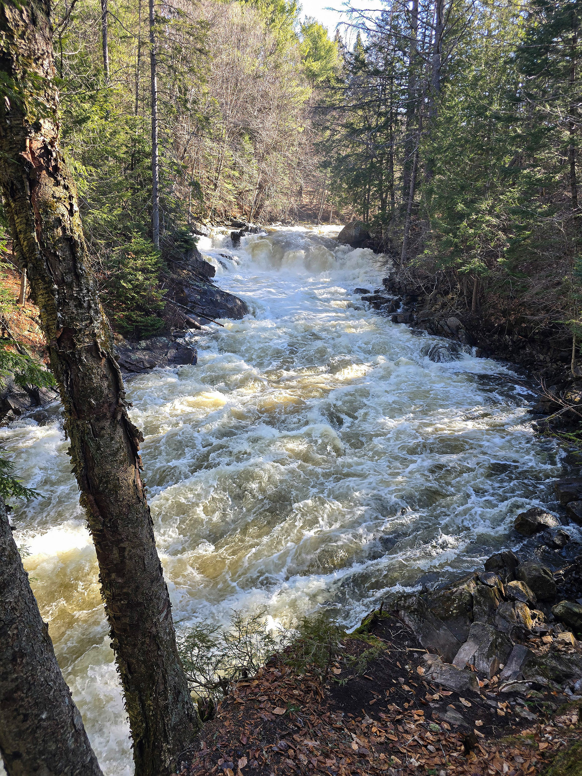 Brook’s Falls waterfall, a smallish rushing cascade waterfall in Muskoka.