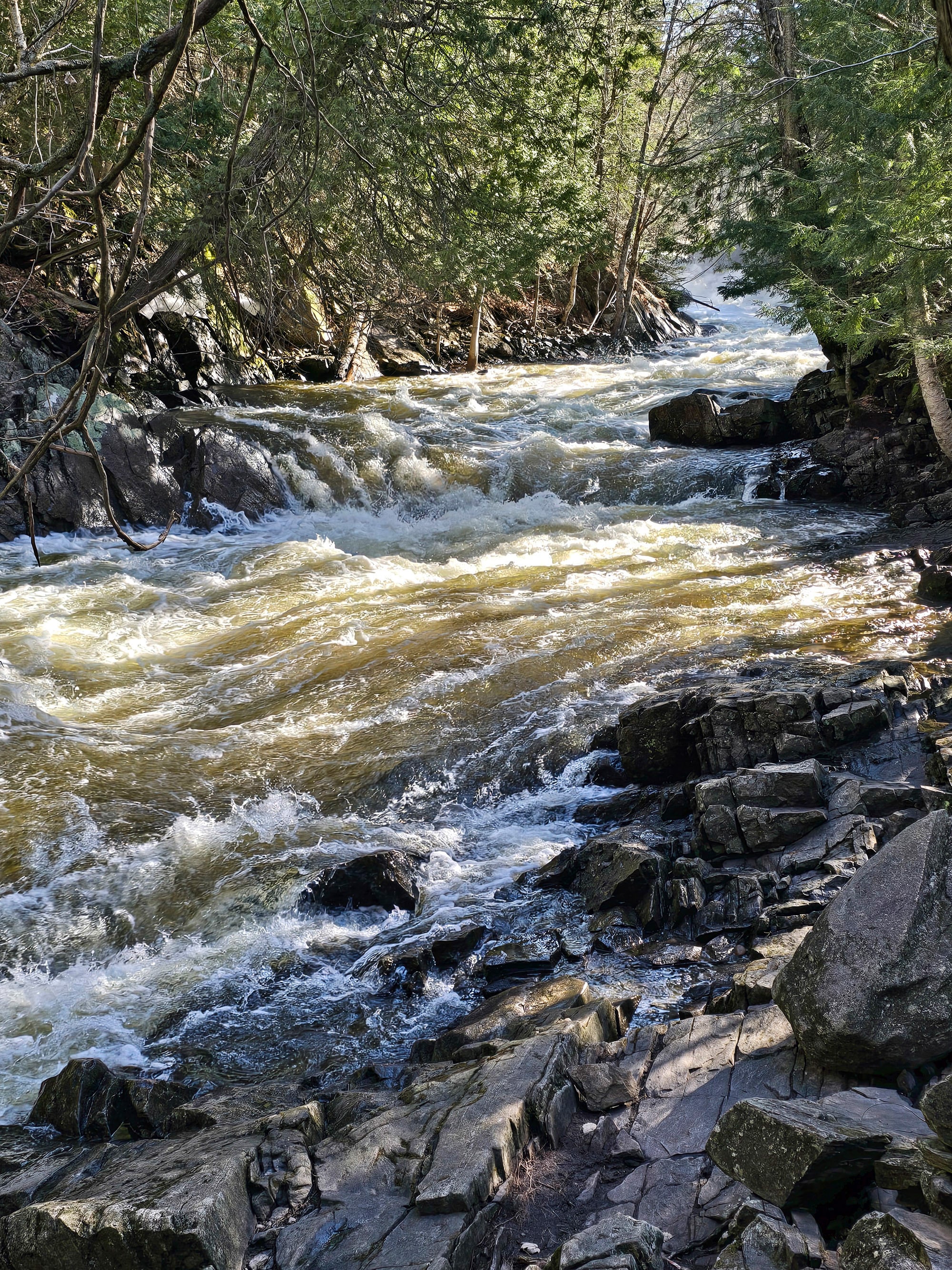 Brook’s Falls waterfall, a smallish rushing cascade waterfall in Muskoka.