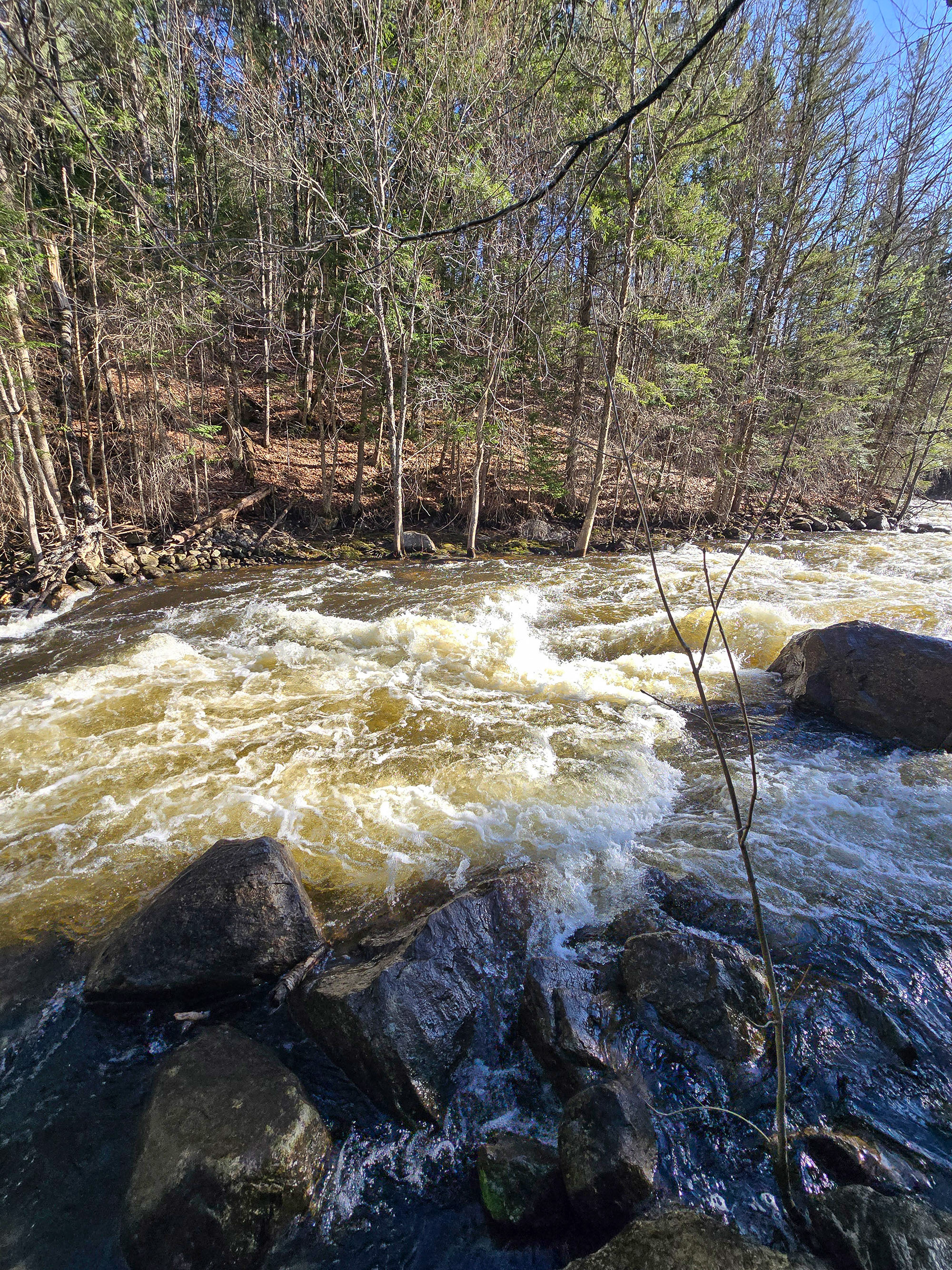 Brook’s Falls waterfall, a smallish rushing cascade waterfall in Muskoka.