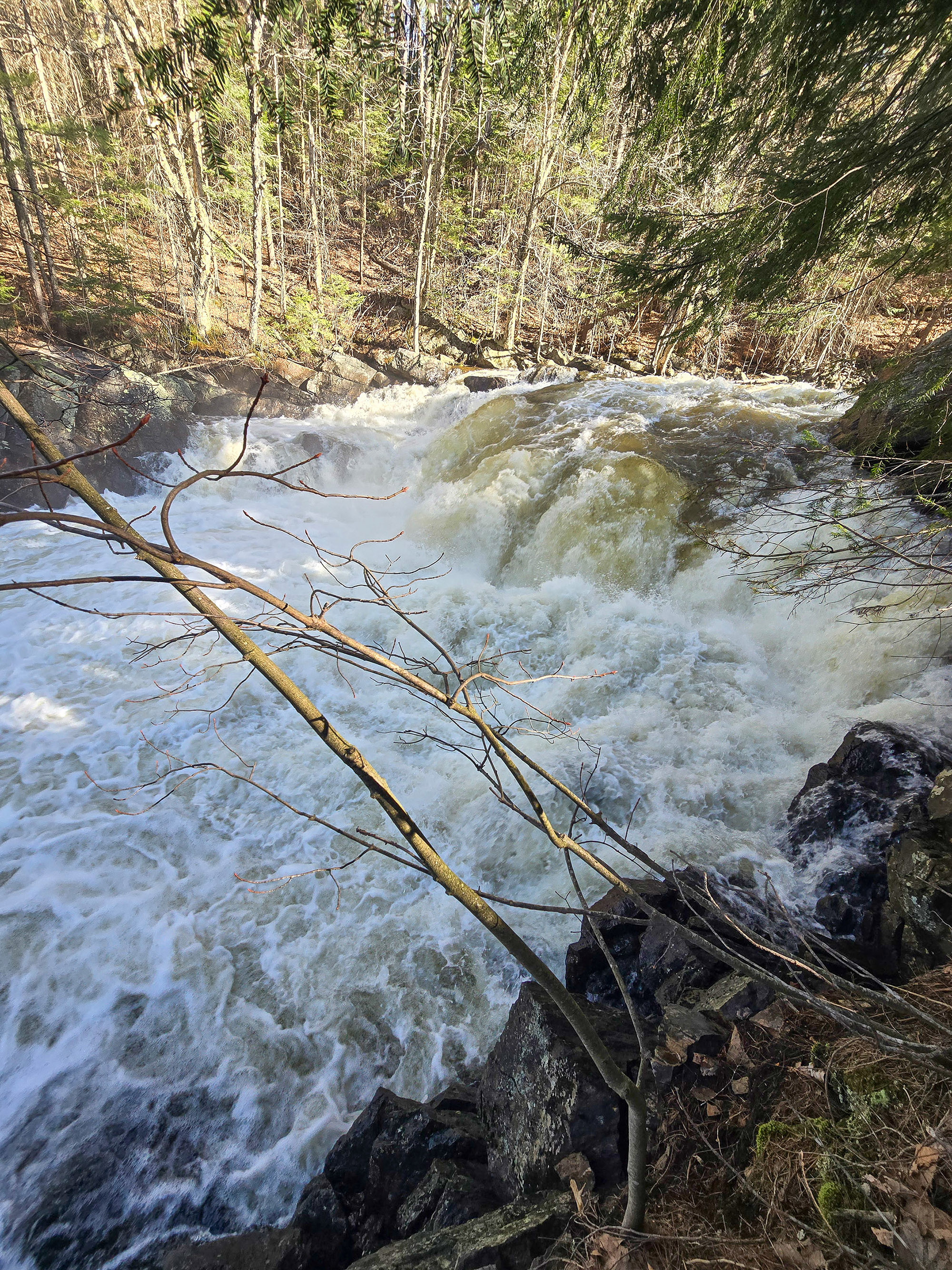 Brook’s Falls waterfall, a smallish rushing cascade waterfall in Muskoka.