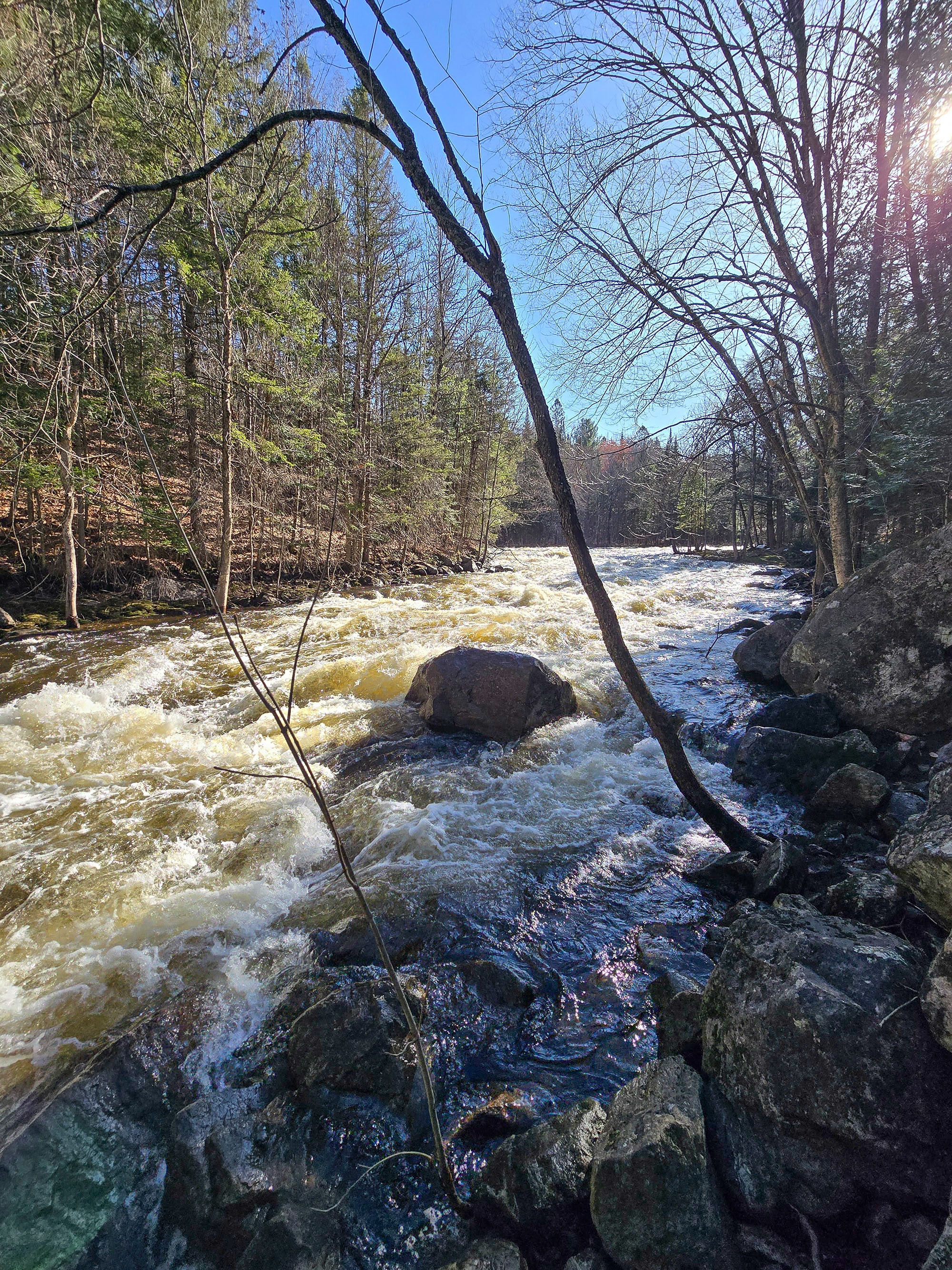 Brook’s Falls waterfall, a smallish rushing cascade waterfall in Muskoka.