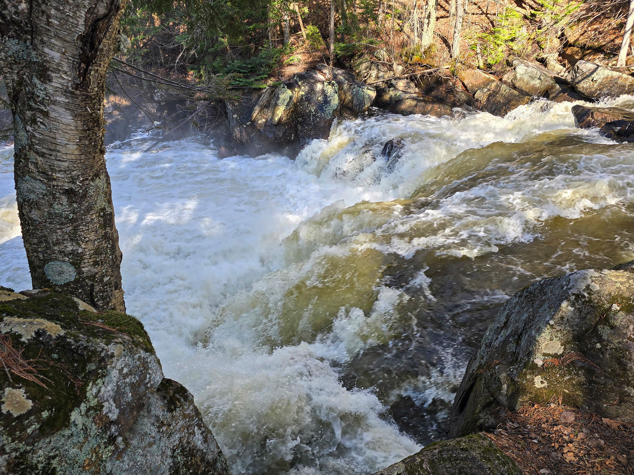 Brook’s Falls waterfall, a smallish rushing cascade waterfall in Muskoka.