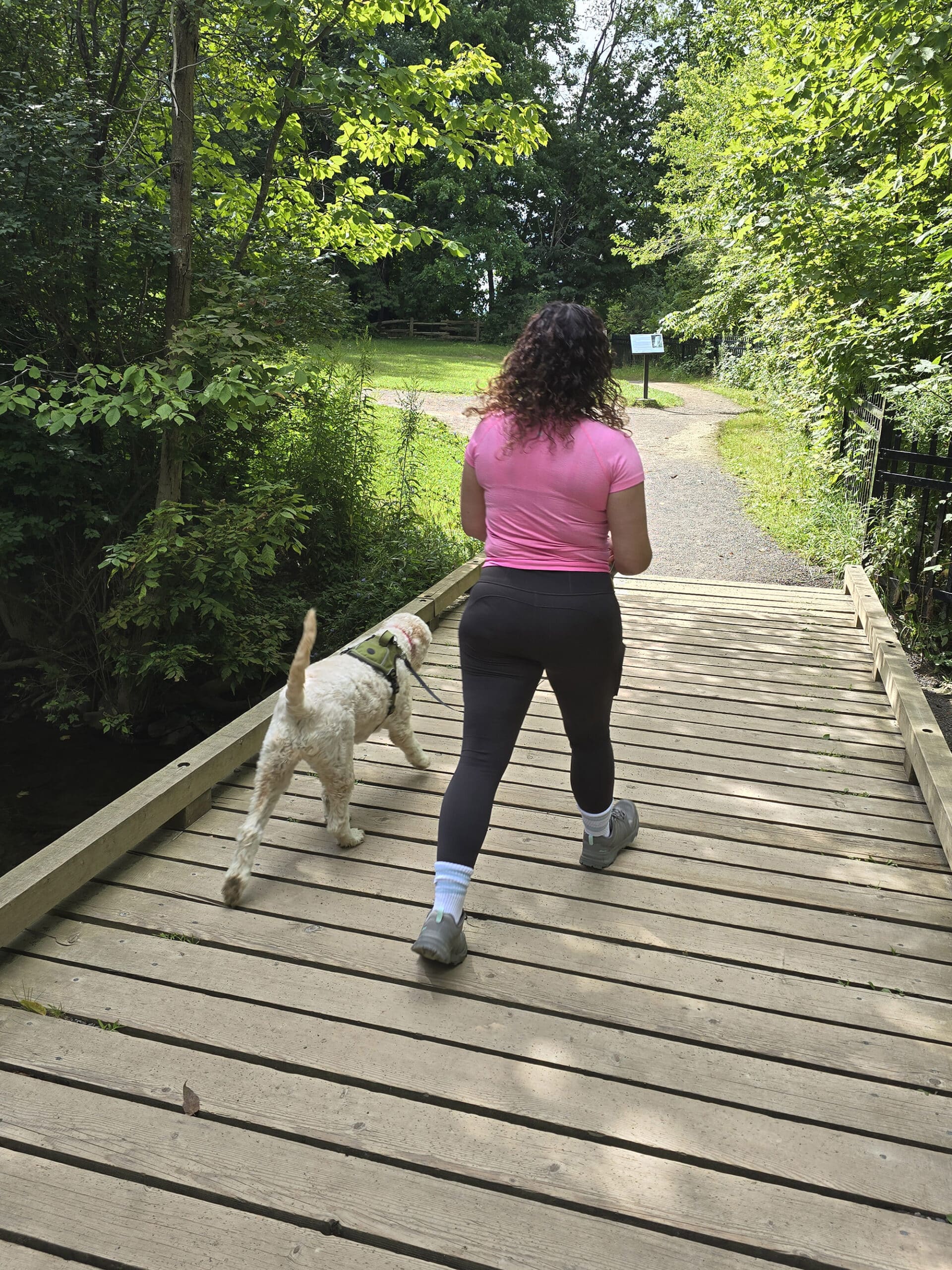 A woman walking her dog at Dundas Peak.