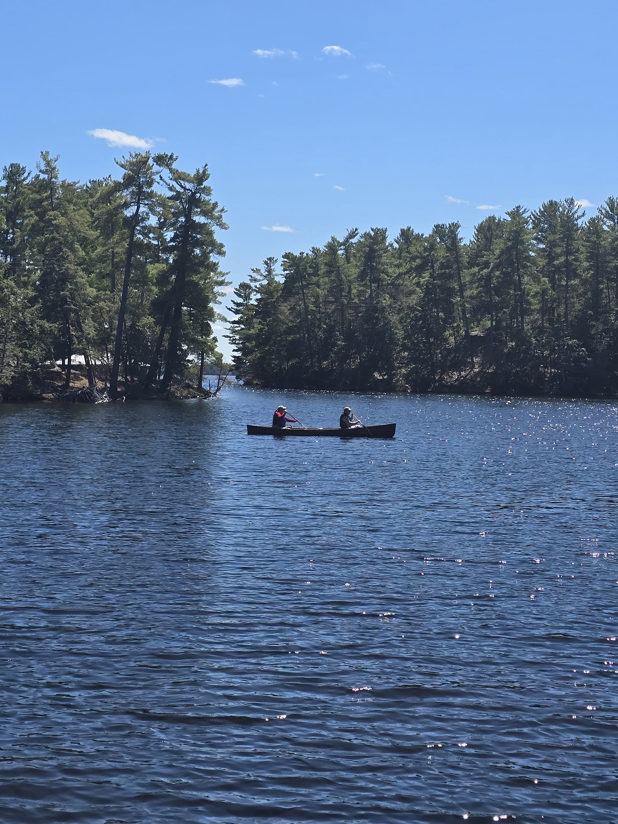2 people canoeing on a lake at Murphys Point Provincial Park.