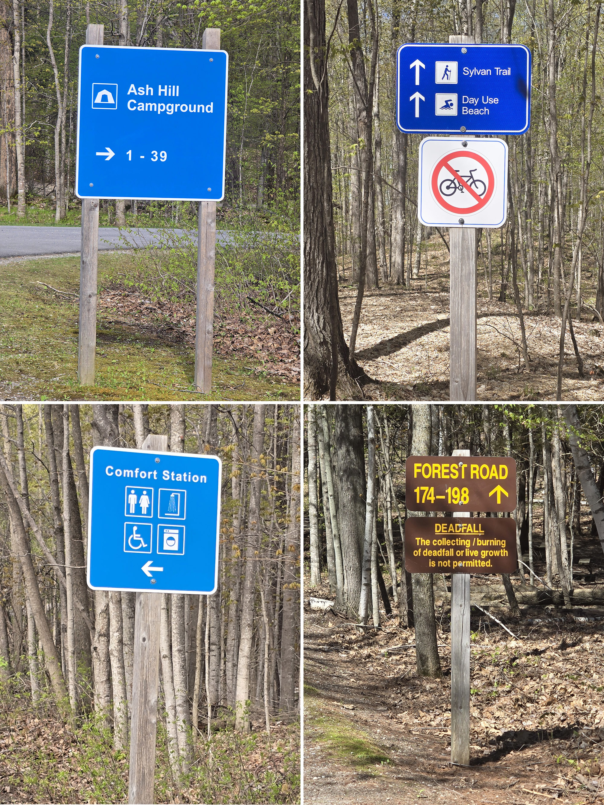 4 part image showing various directional signage at Murphys Point Provincial Park.