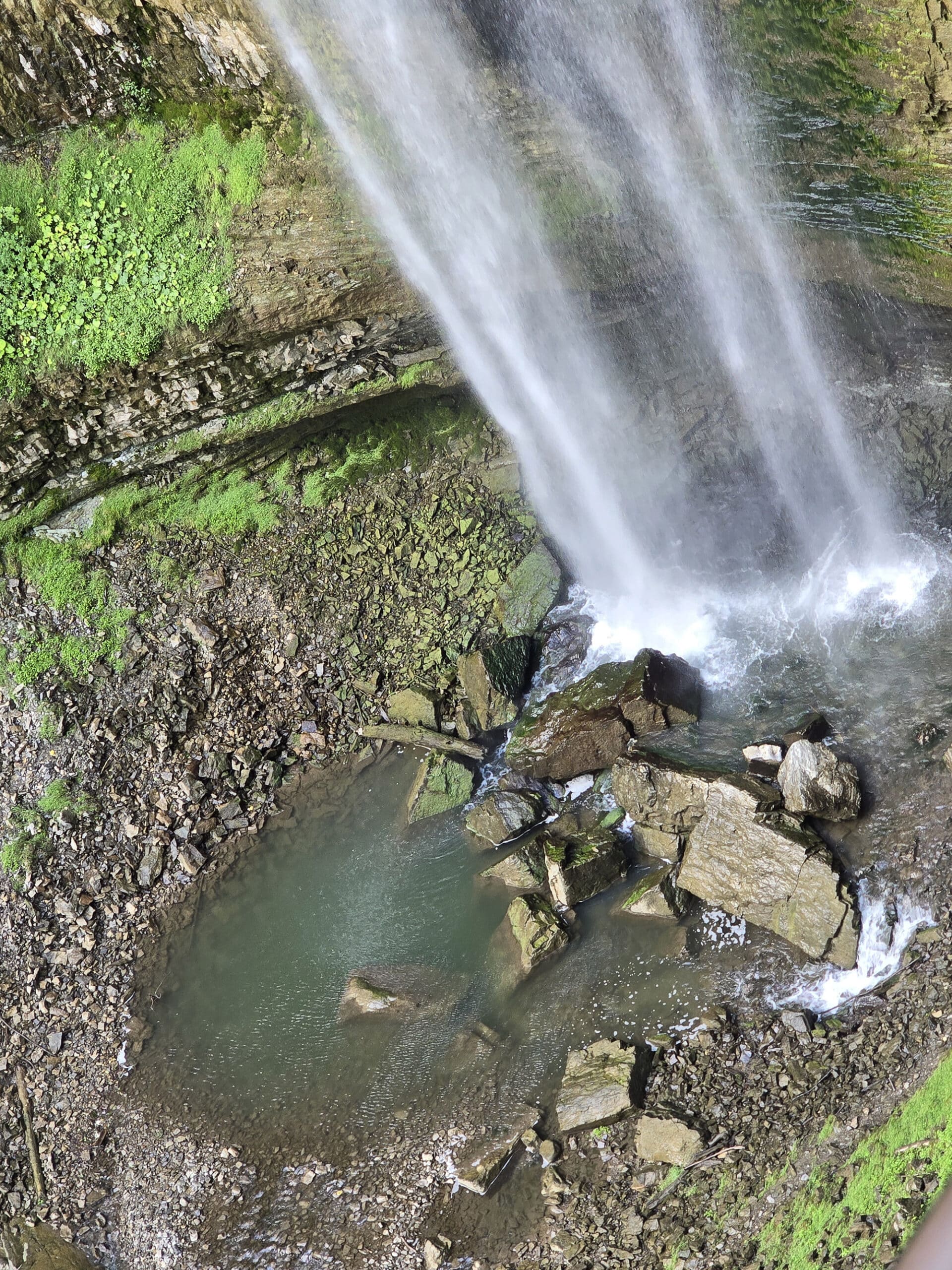 The base of the Tew Falls waterfall, in summer.