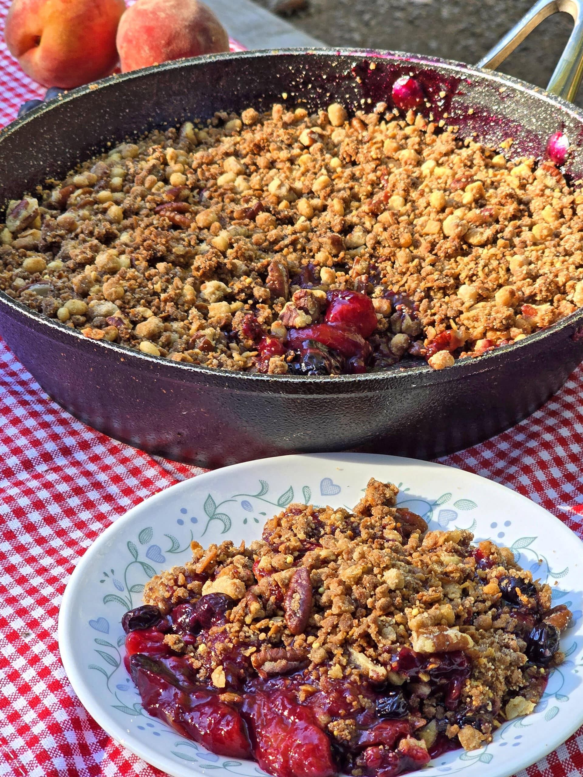A plate and a pan of blueberry peach crisp.