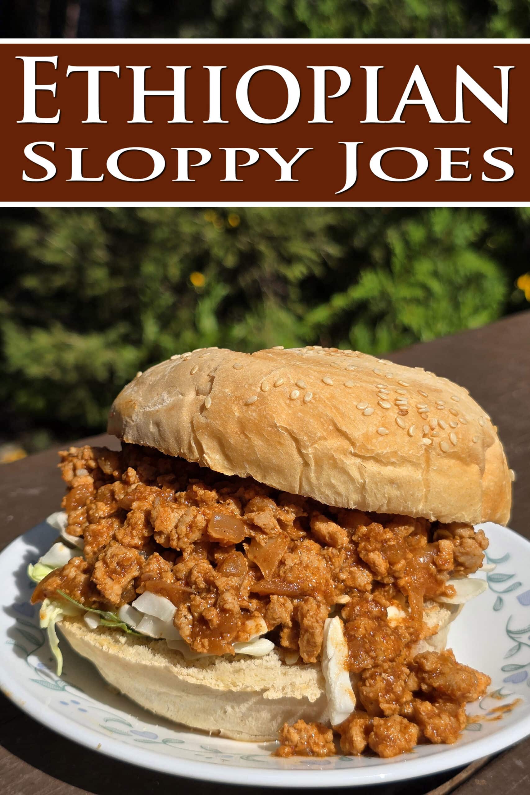 A Berbere Chicken Sloppy Joes sandwich with shredded cabbage. Overlaid text says Ethiopian Sloppy Joes.