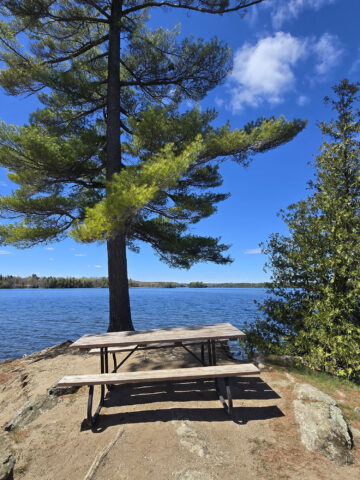 A picnic table on a small penisula overlooking Silver Lake.