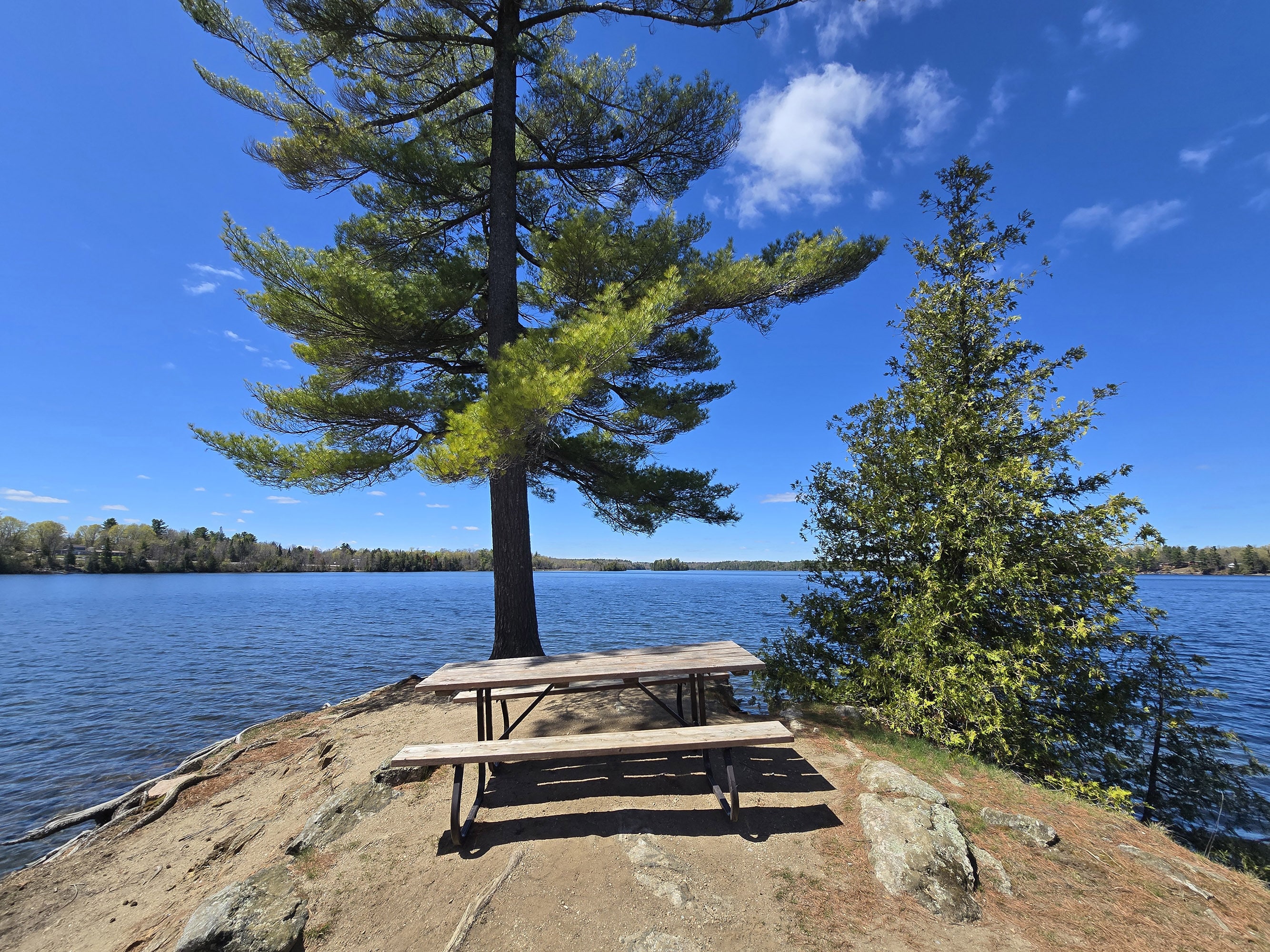 A picnic table on a small penisula overlooking Silver Lake.