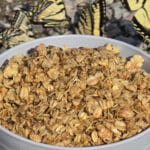 A bowl of skillet maple walnut granola.