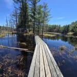 A wooden boardwalk extending over a marsh at Achray Campground on a sunny day.