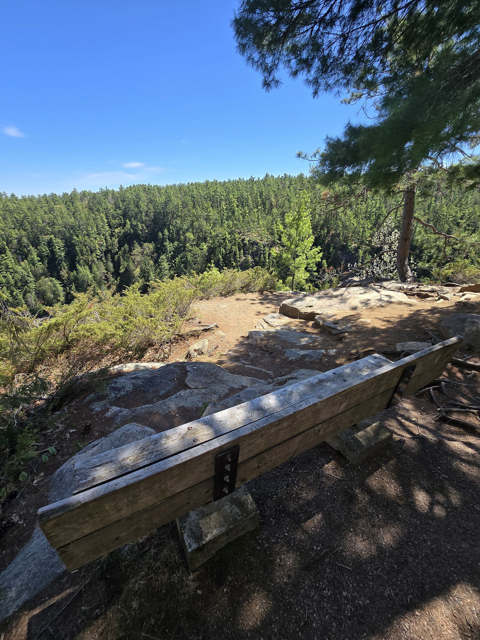 A bench overlooking the barron canyon.
