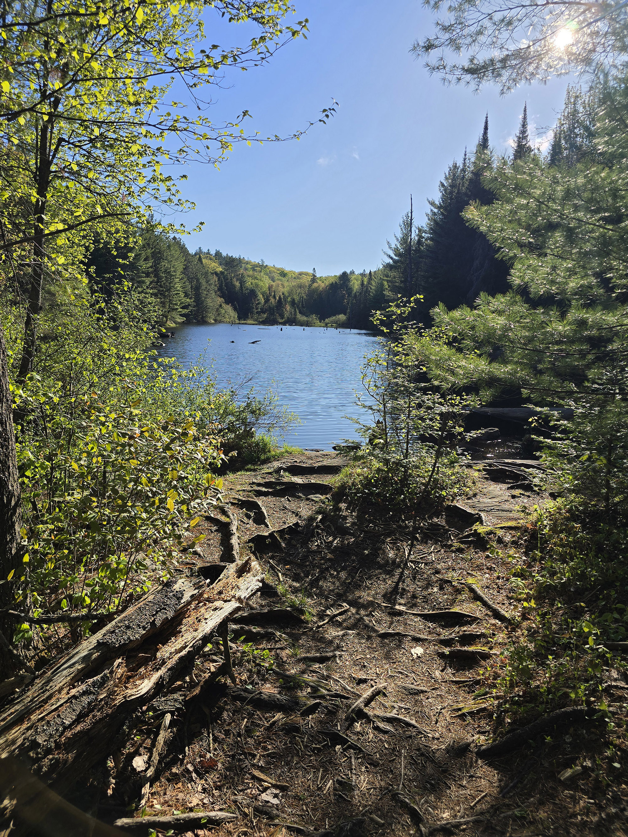 A view over a lake on a sunny day.