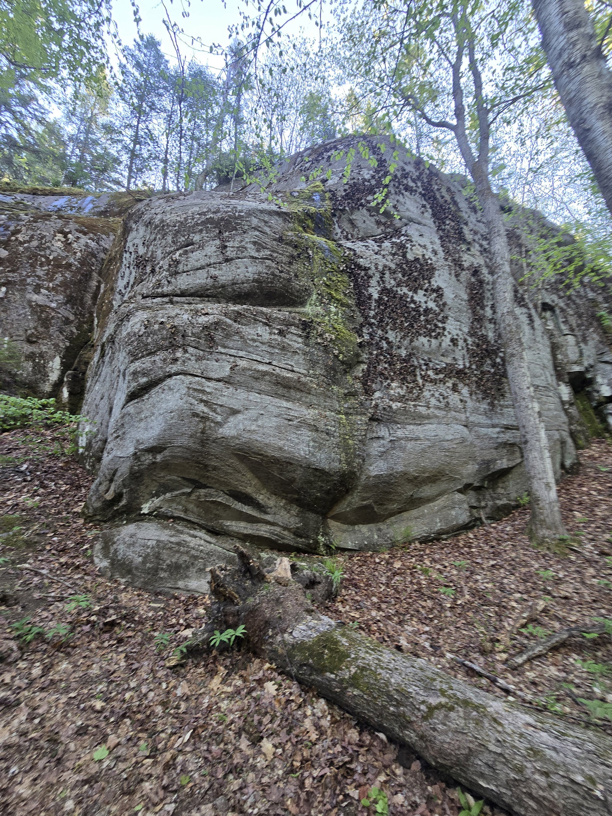 A large boulder on a hiking trail.