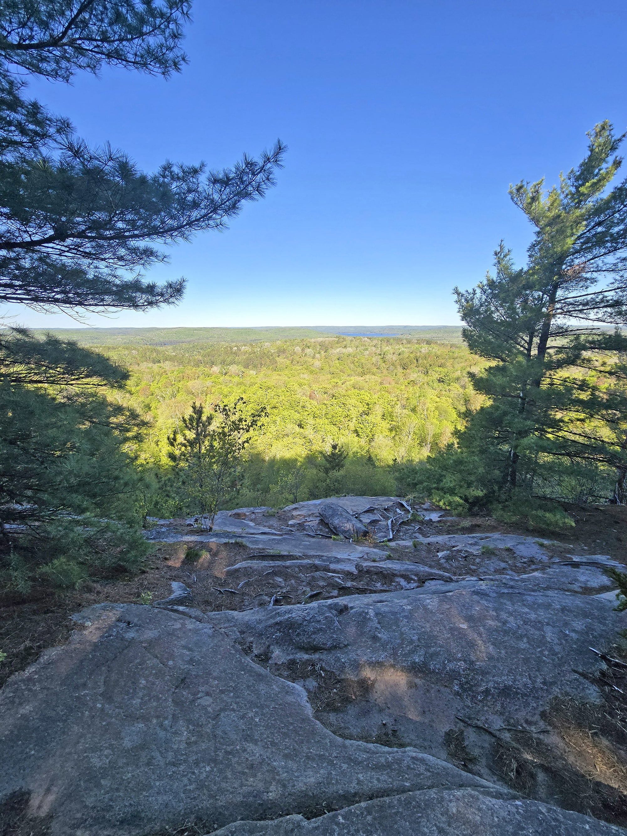 A view off a cliff at the centennial ridges hiking trail.