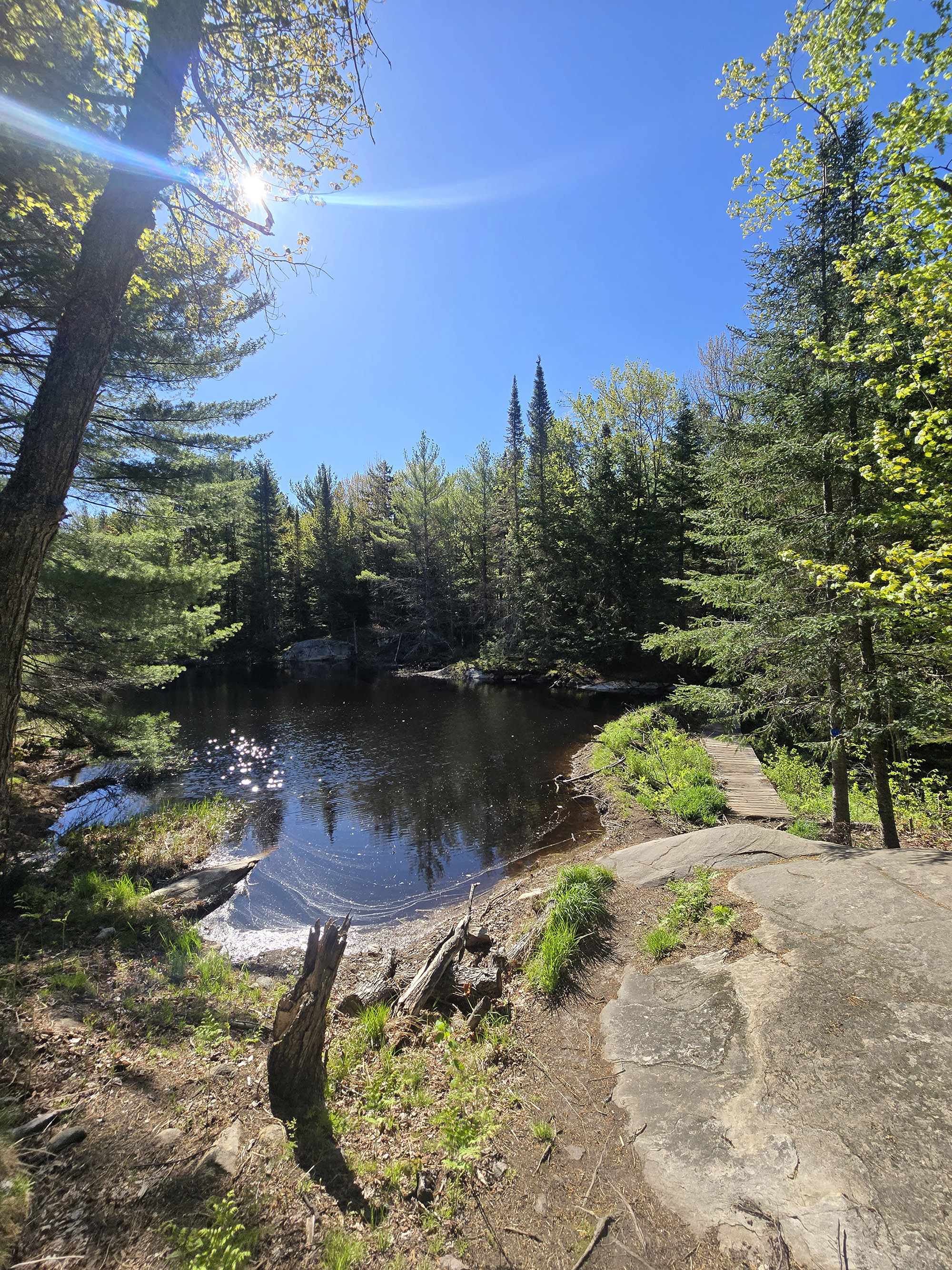 A view over a lake on a sunny day.