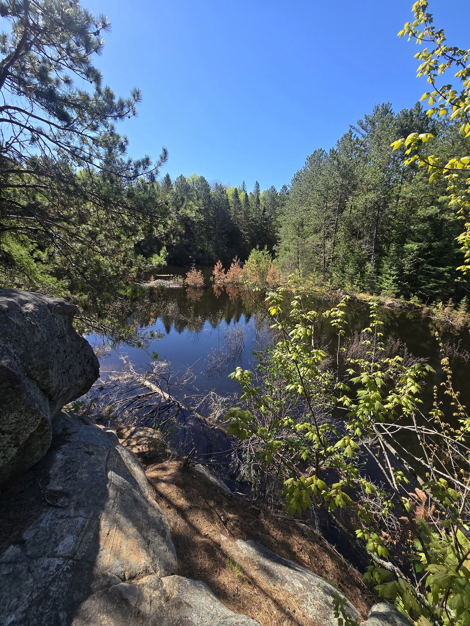 A view over a lake on a sunny day.