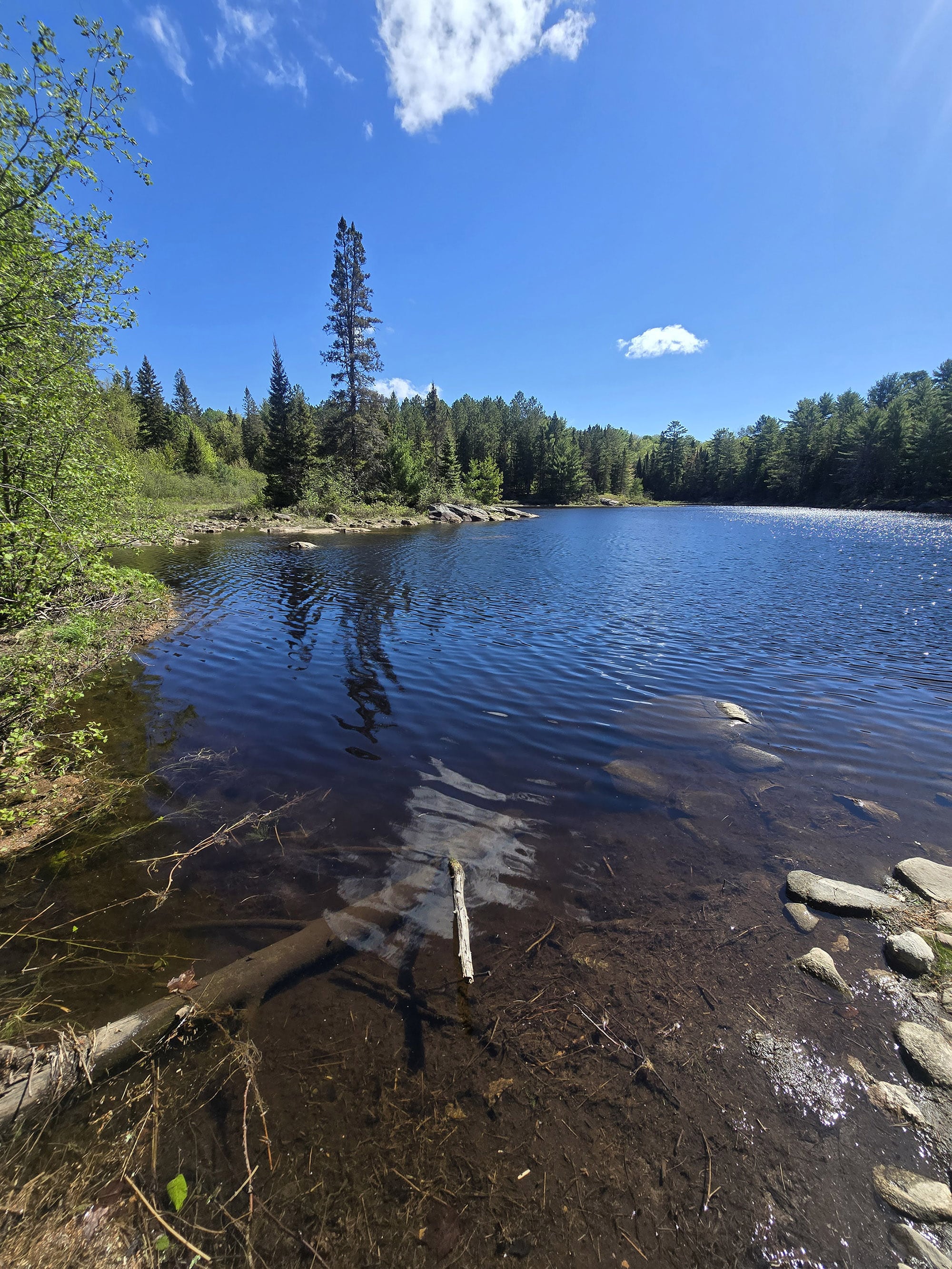 A view over a lake on a sunny day.