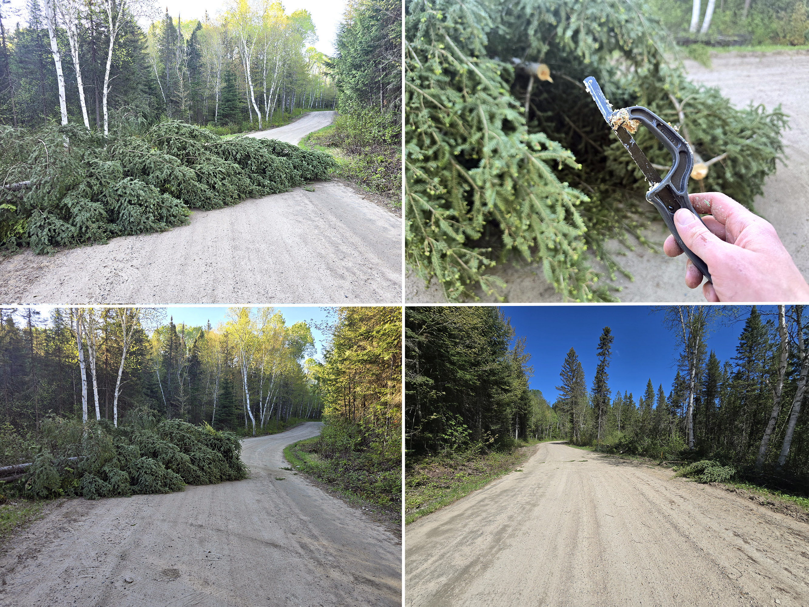 4 part image showing a large pine tree blocking a road, being cut and moved.