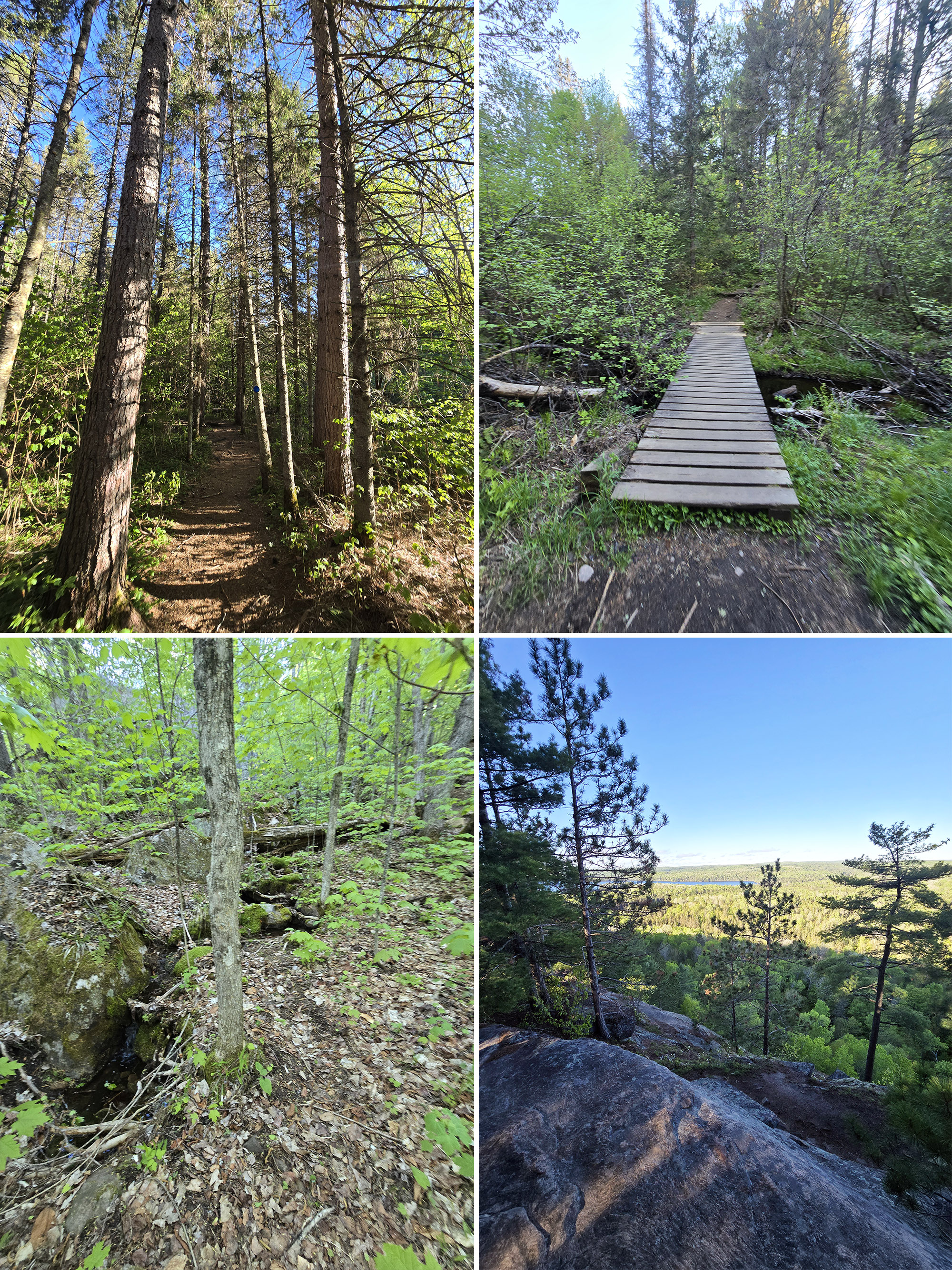 4 part image showing various views along the Centennial Ridge Hiking Trail in Algonquin Provincial Park.