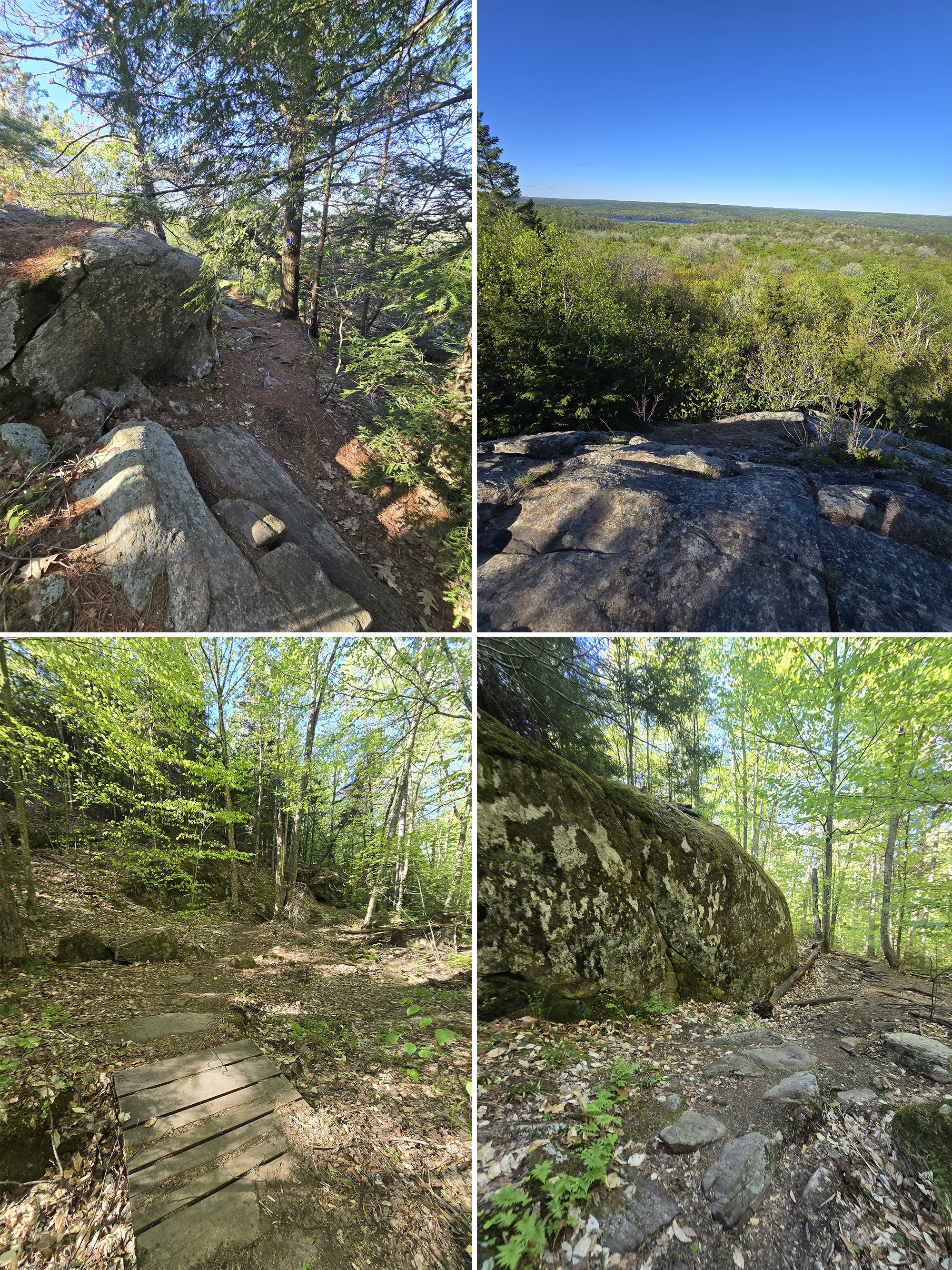 4 part image showing various views along the Centennial Ridge Hiking Trail in Algonquin Provincial Park.