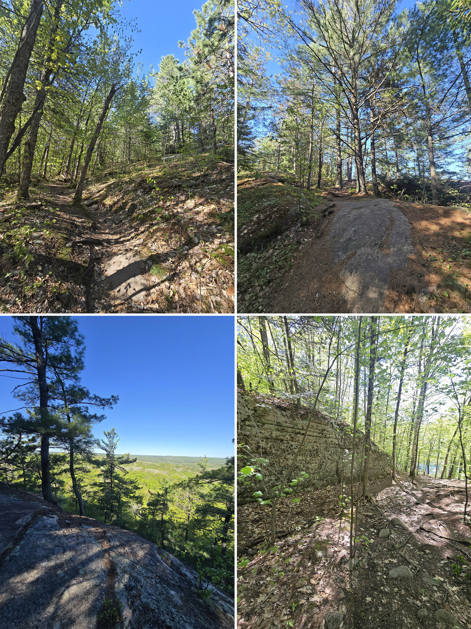 4 part image showing various views along the Centennial Ridge Hiking Trail in Algonquin Provincial Park.