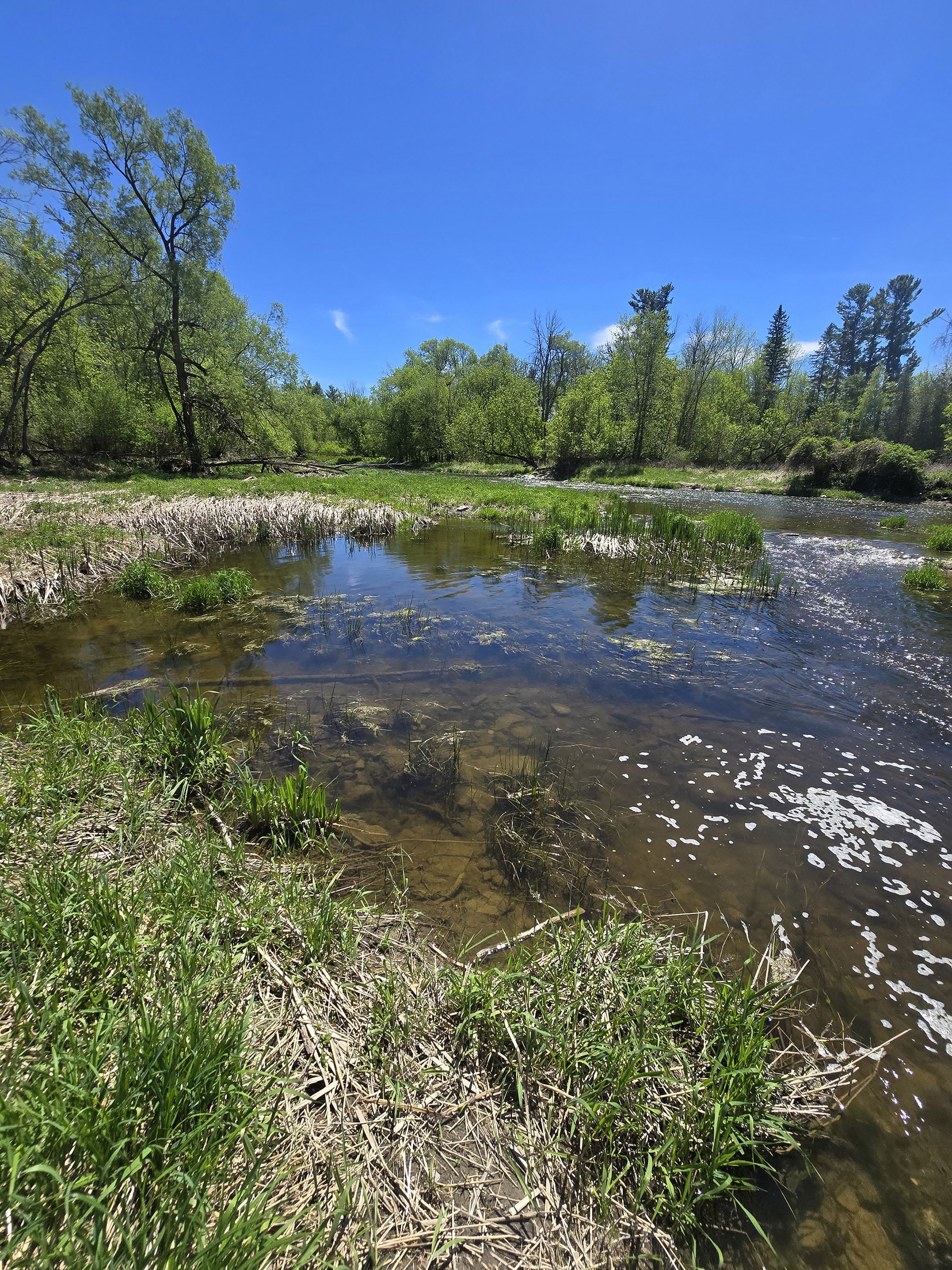 A view over carp river in Fitzroy Provincial park.