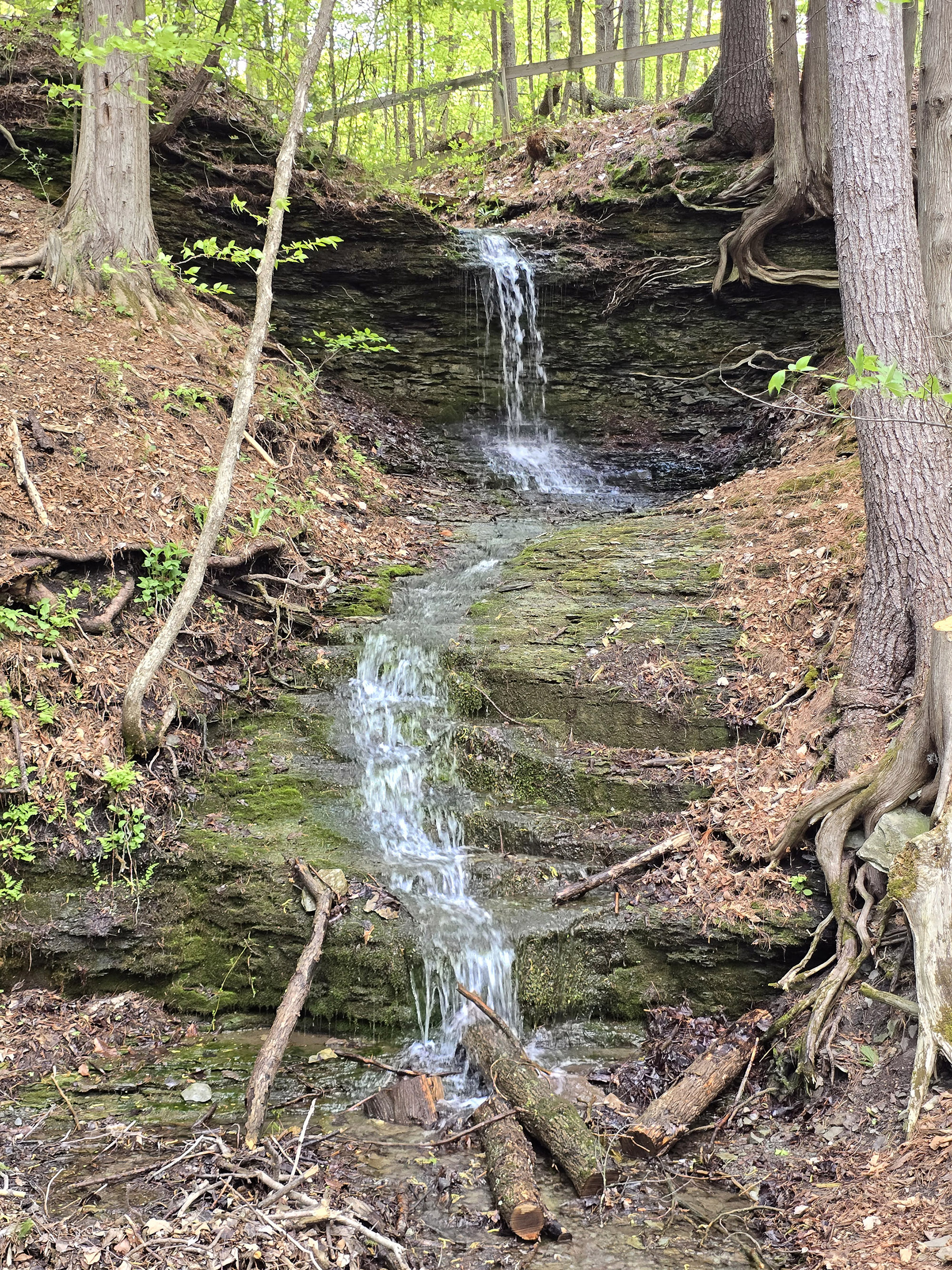 A small waterfall at Fitzroy Provincial Park.
