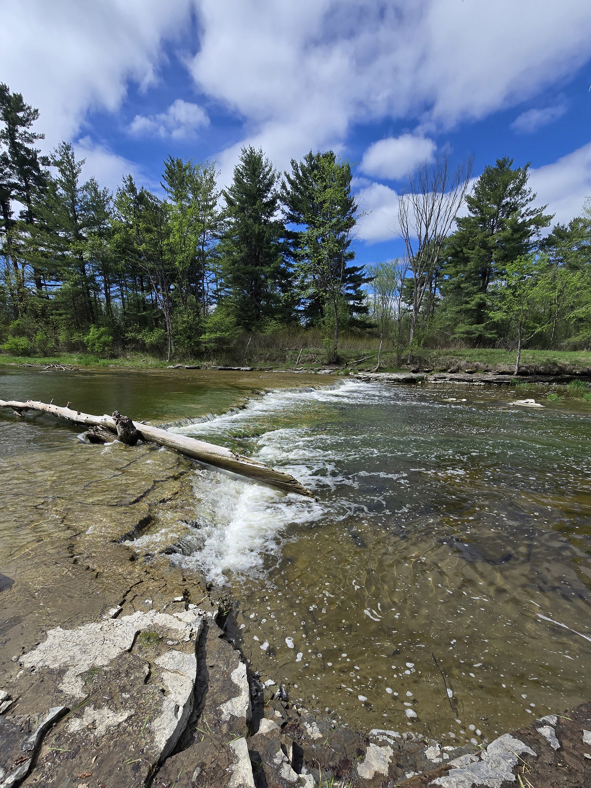 A small waterfall on carp river.