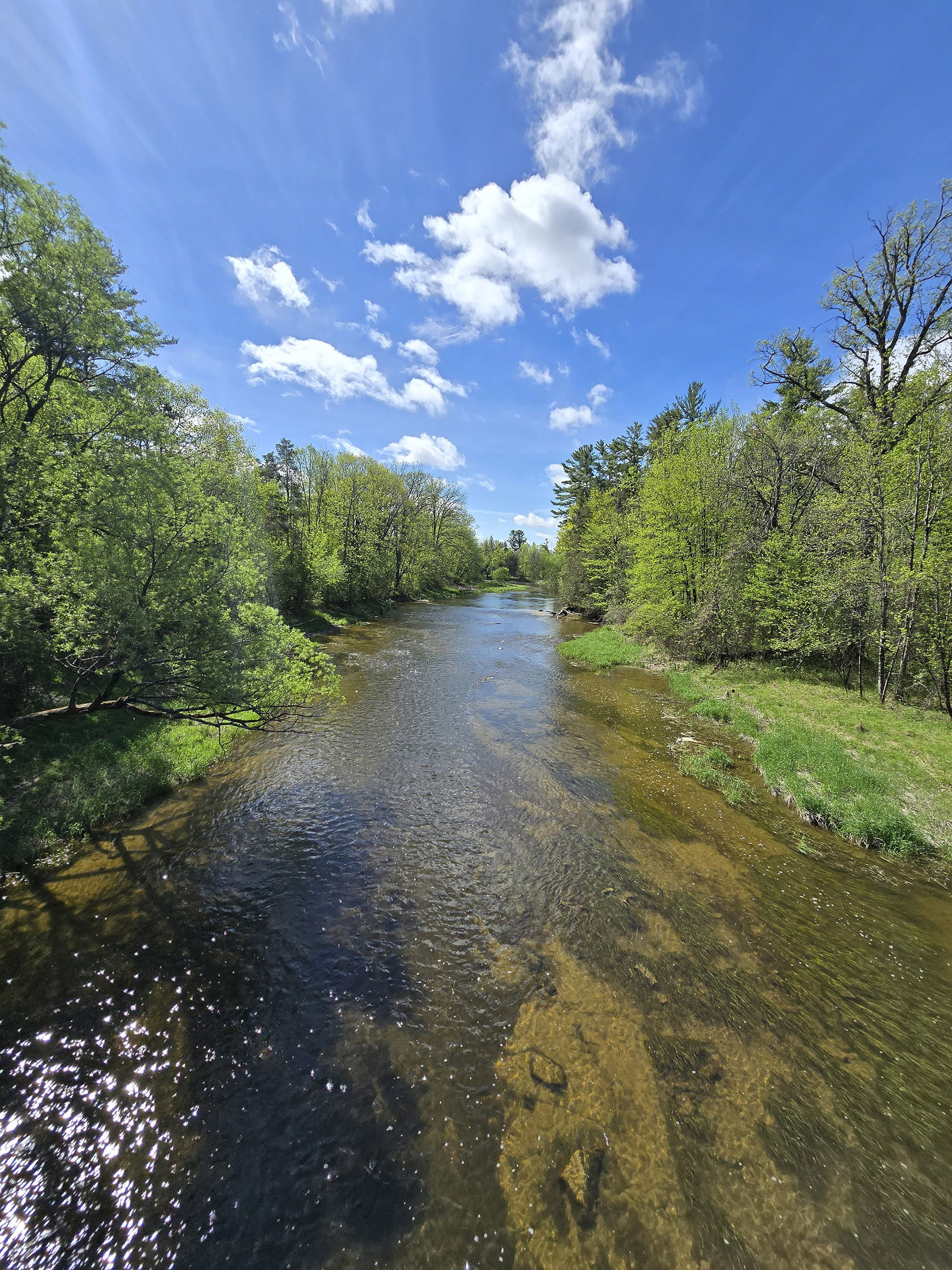 A view over carp river in Fitzroy Provincial park.