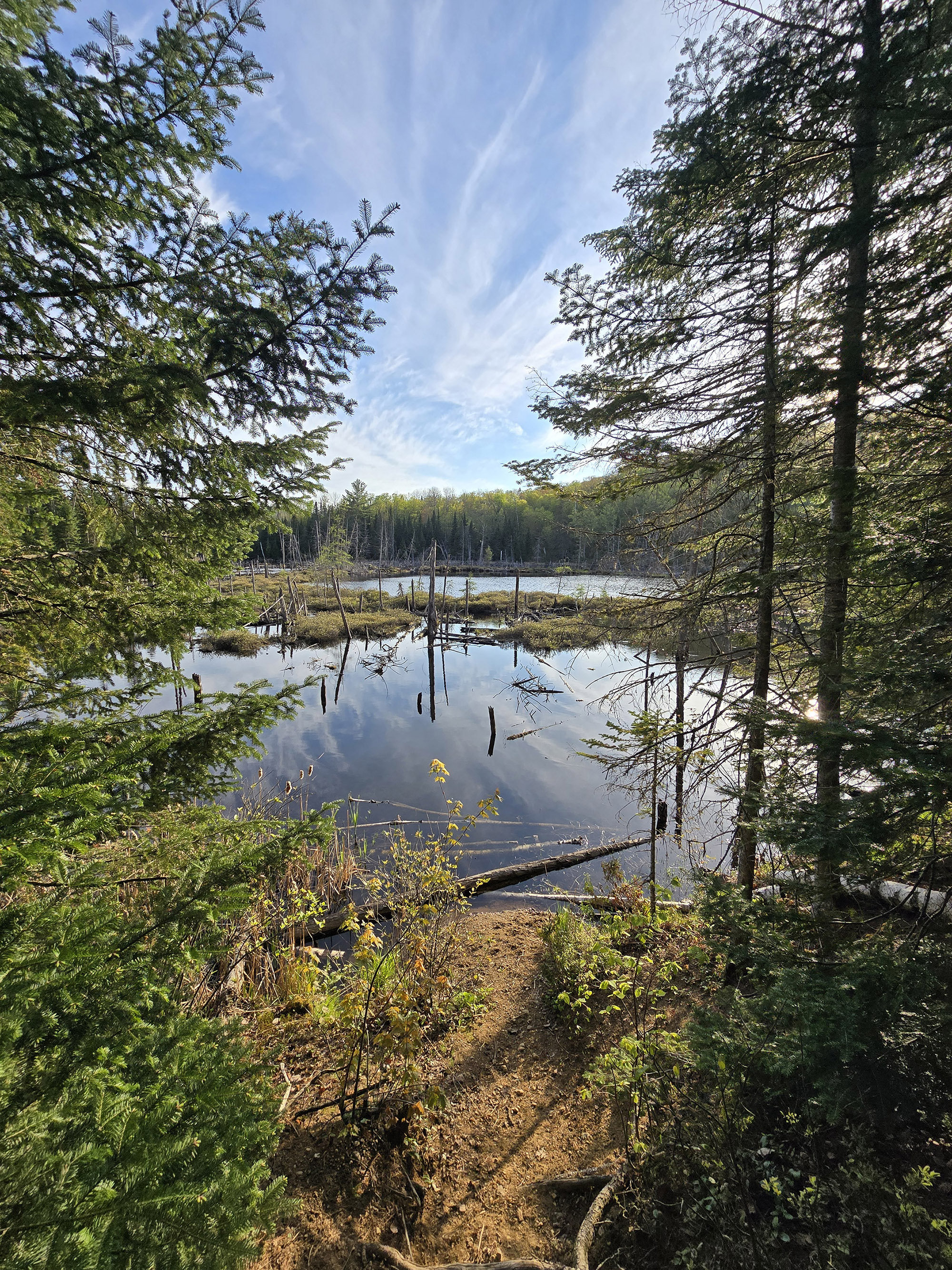 A view over Lake St Peter.