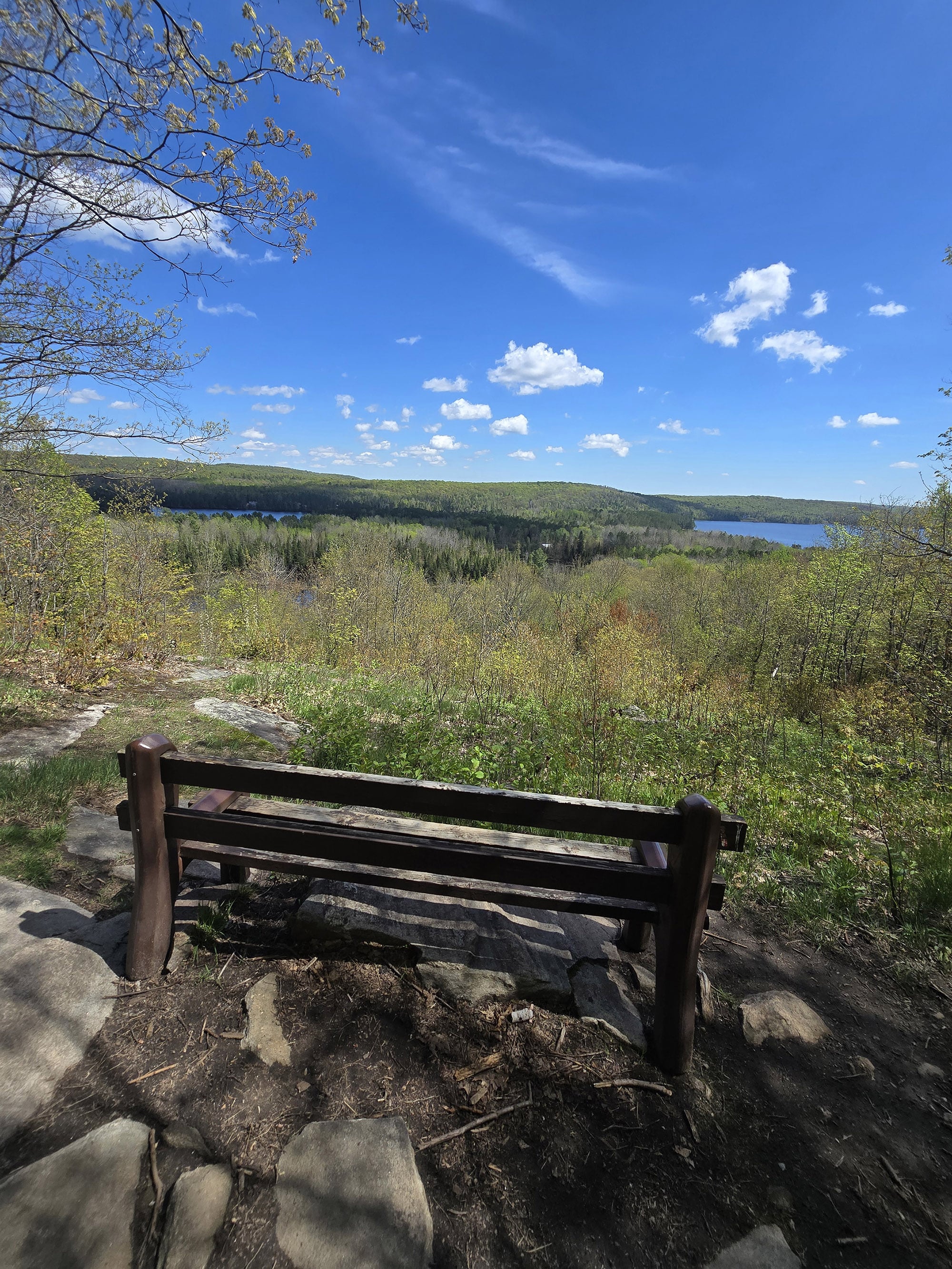 A bench on the side of a trail, overlooking forest and lake st peter.
