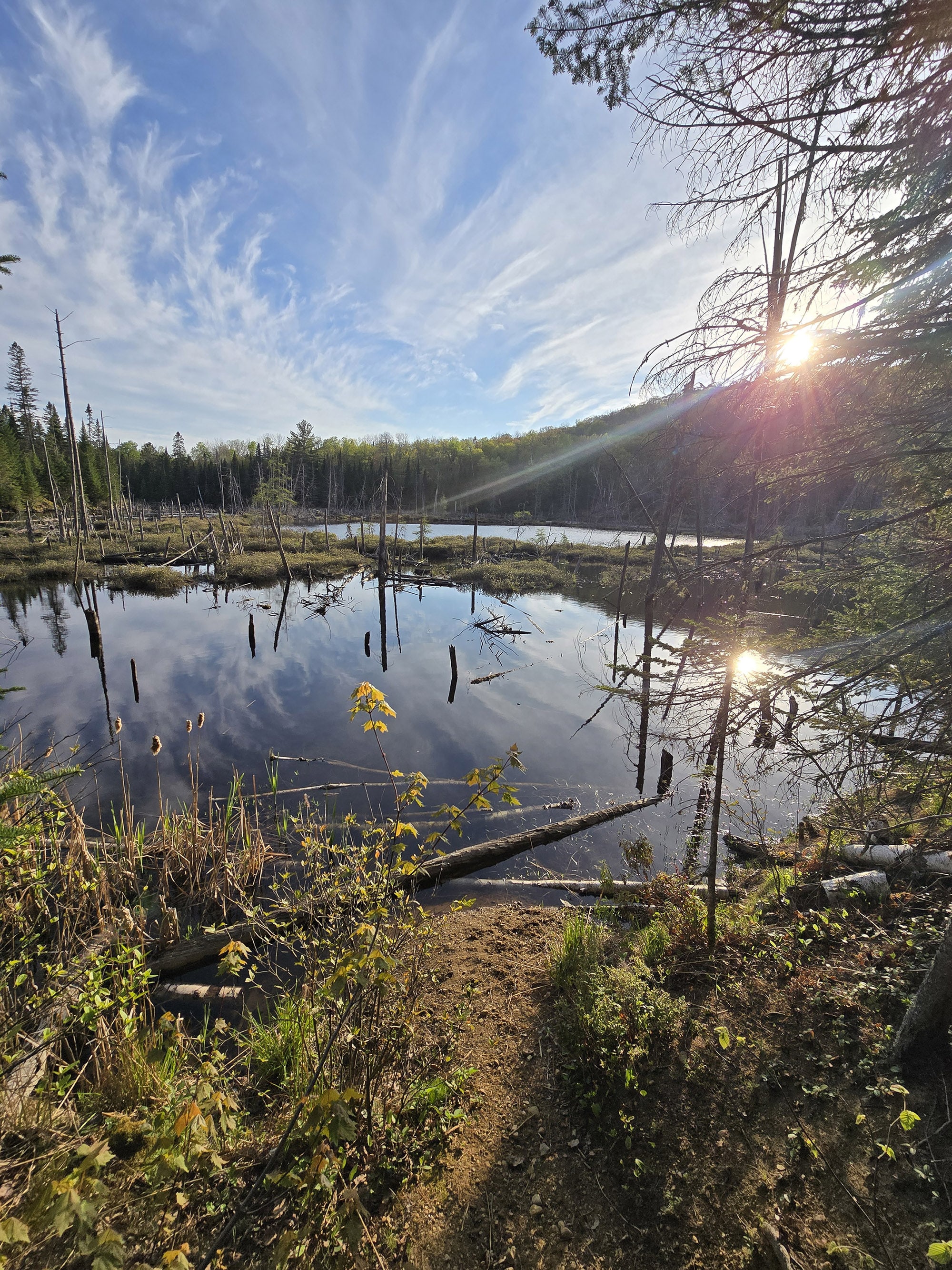 A view over Lake St Peter.