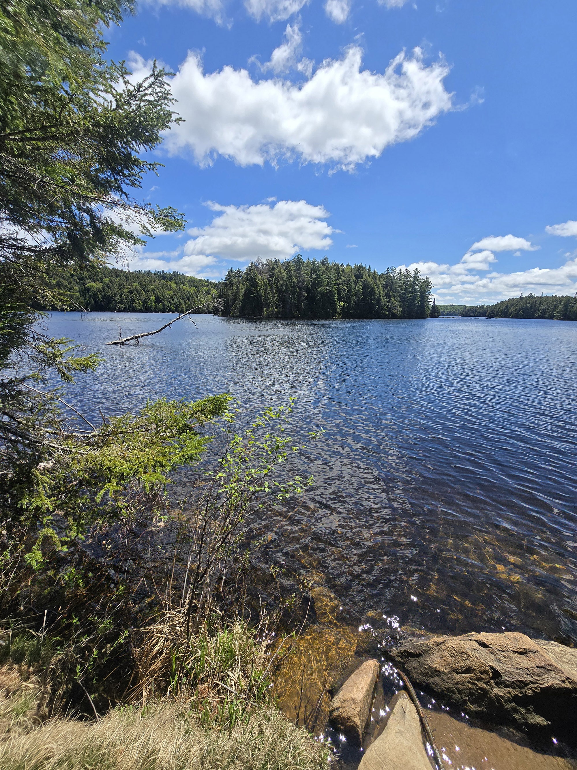 A view over a lake on the track and tower trail in Algonquin Provincial Park.