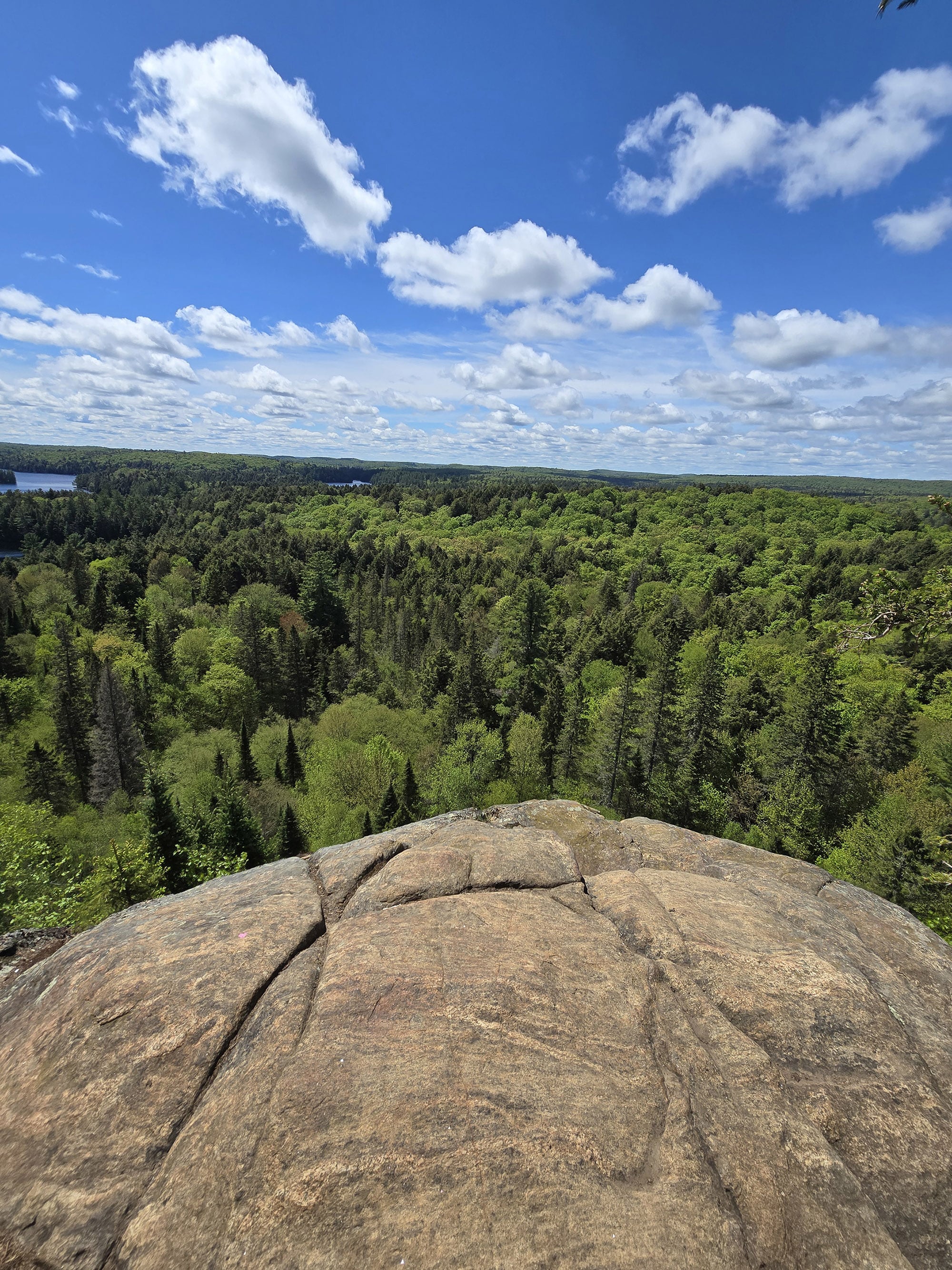A view over a cliff on the track and tower trail in Algonquin Provincial Park.