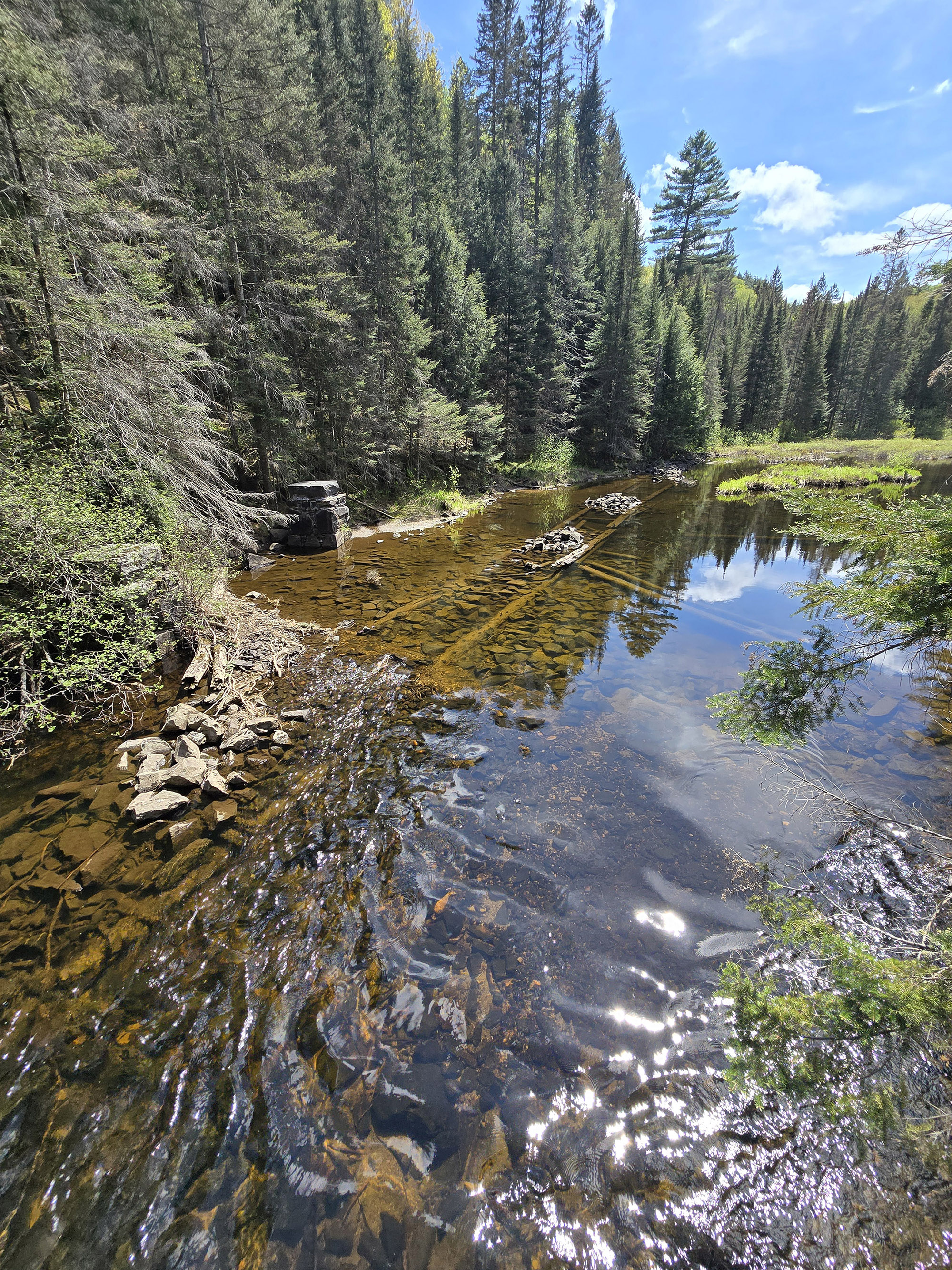 A view over a lake on the track and tower trail in Algonquin Provincial Park.