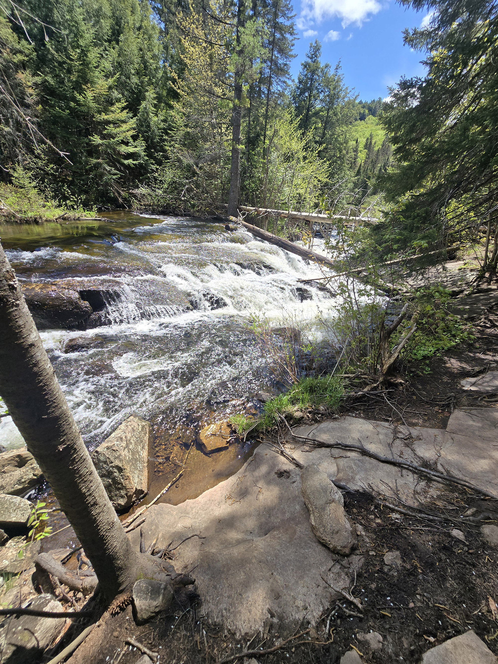 A view of a waterfall on the track and tower trail in Algonquin Provincial Park.